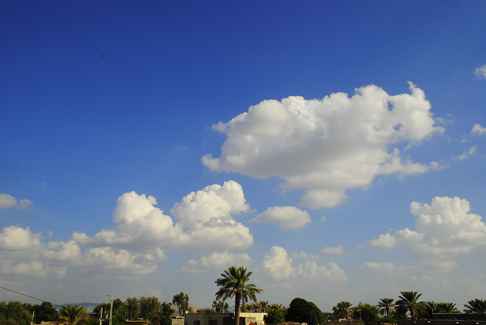 Nikon D3000 sample photo. Berntin2 photography