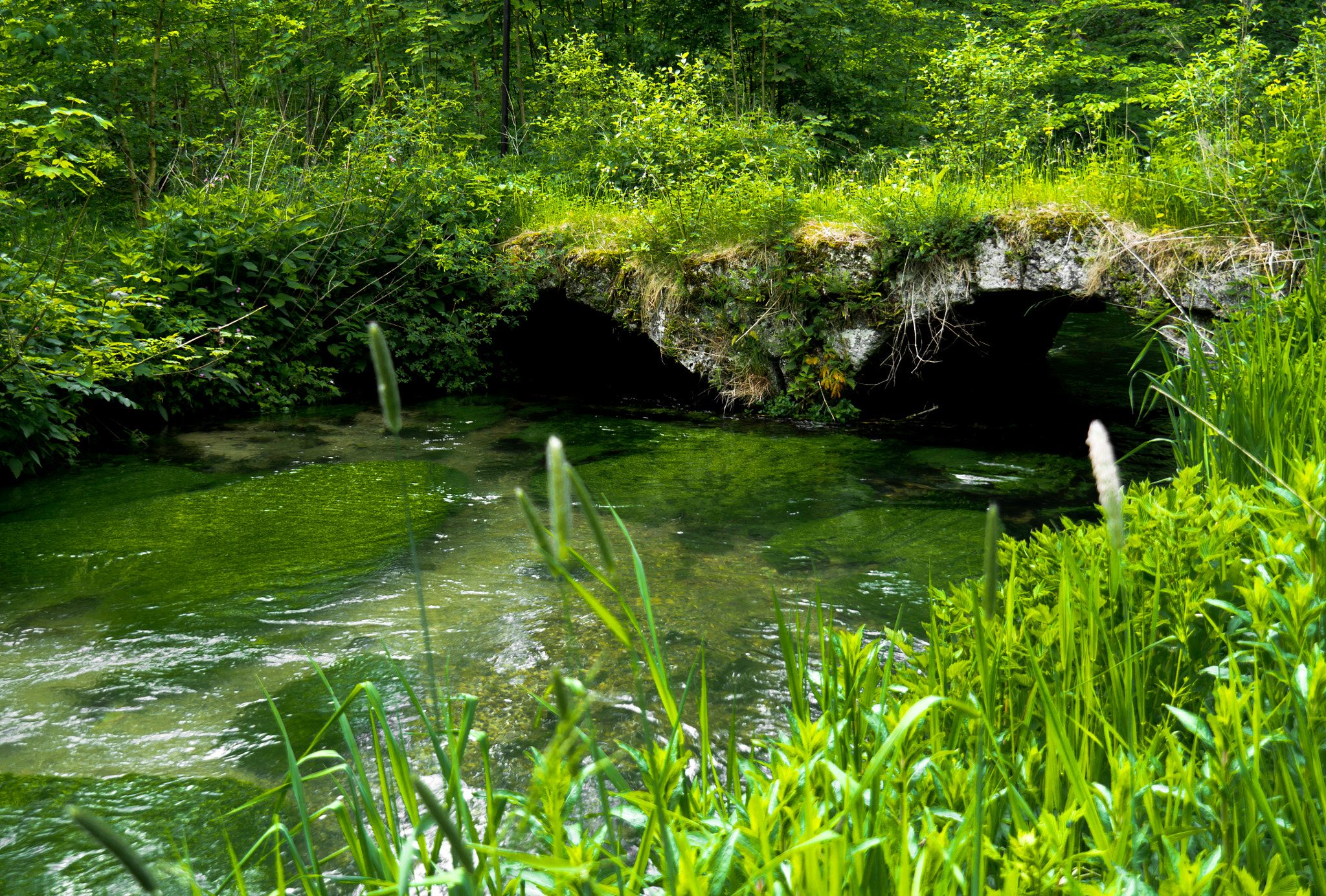 OLYMPUS M.14-150mm F4.0-5.6 II sample photo. Old bridge photography