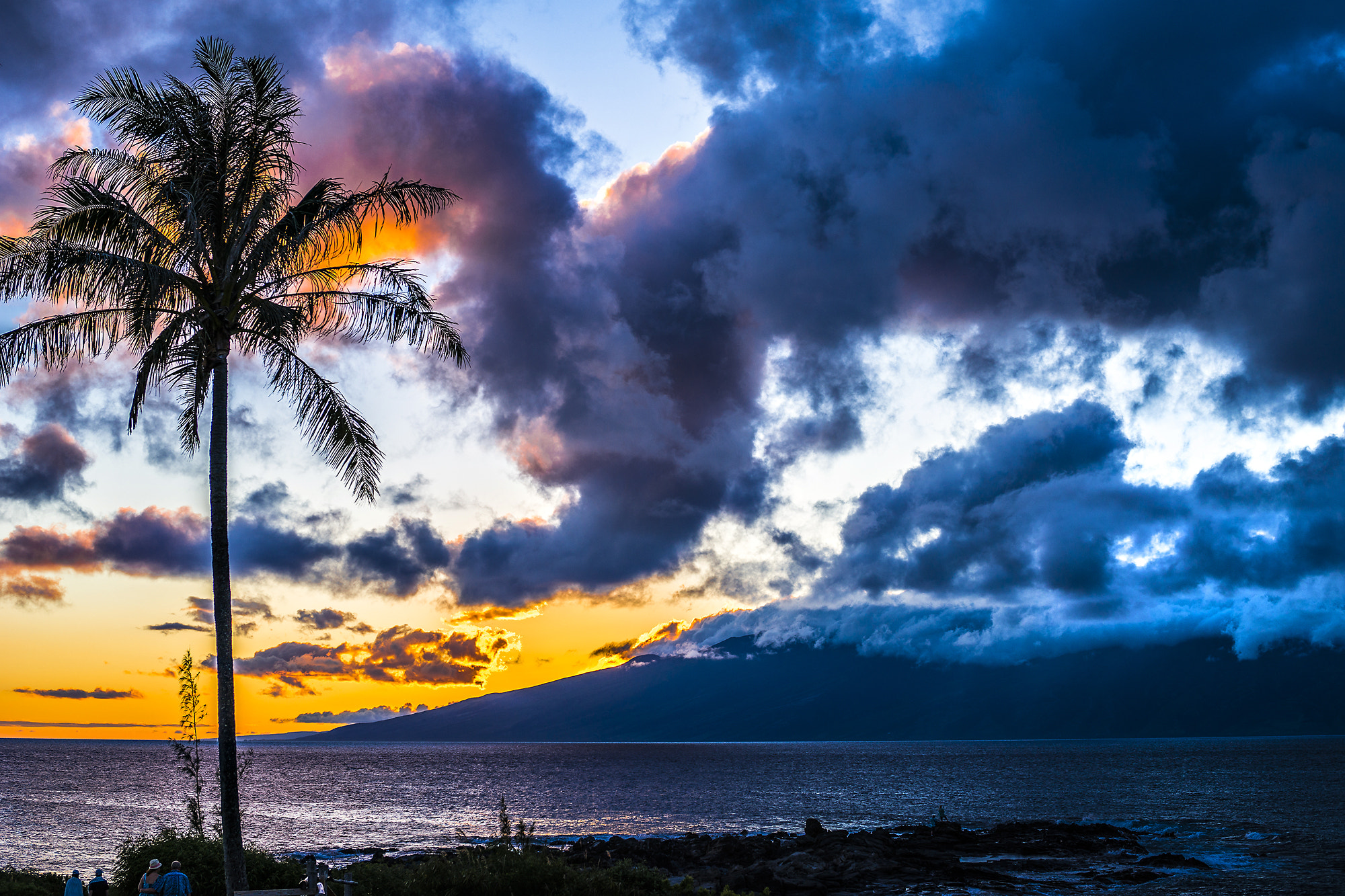 Sony Planar T* 50mm F1.4 ZA SSM sample photo. Beautiful maui photography