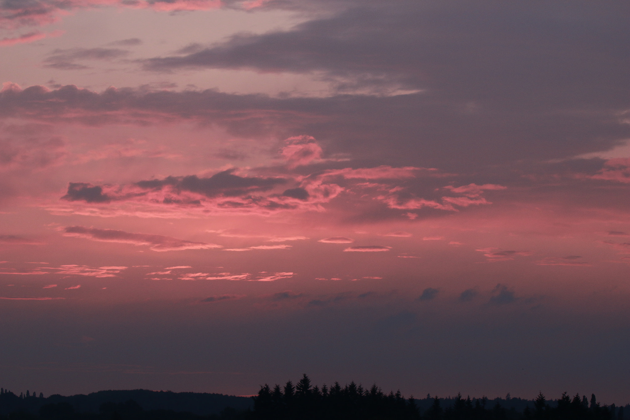 Canon EF 100-400mm F4.5-5.6L IS II USM sample photo. Ciel rose photography