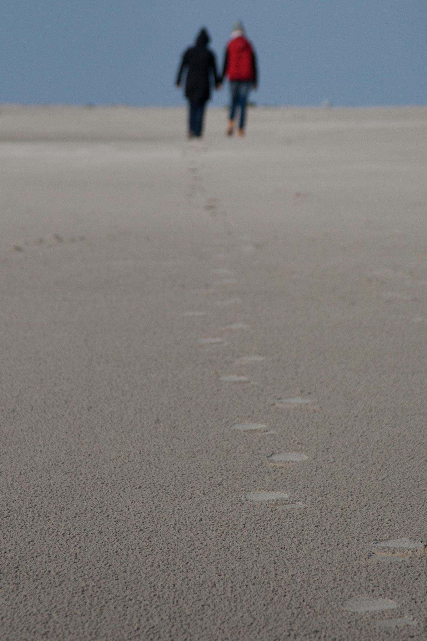 Canon EF 28-135mm F3.5-5.6 IS USM sample photo. Beachwalker photography