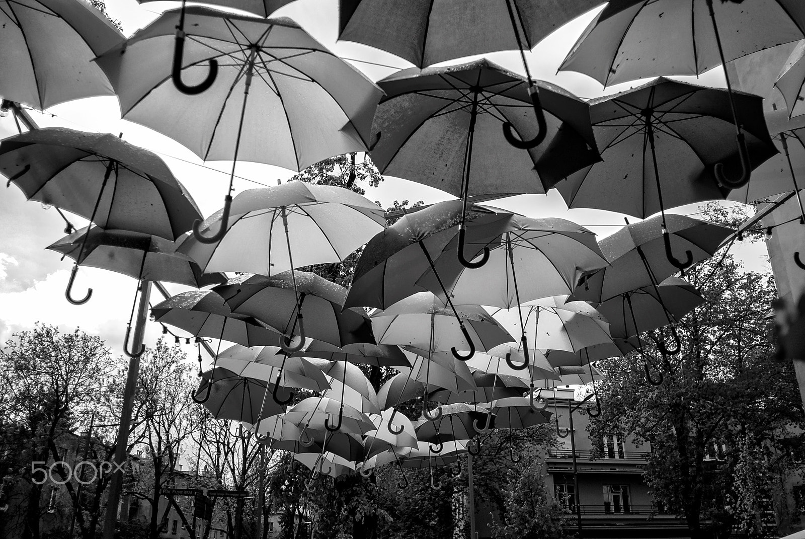 Nikon D80 + Nikon AF Nikkor 20mm F2.8D sample photo. Umbrellas on the street photography