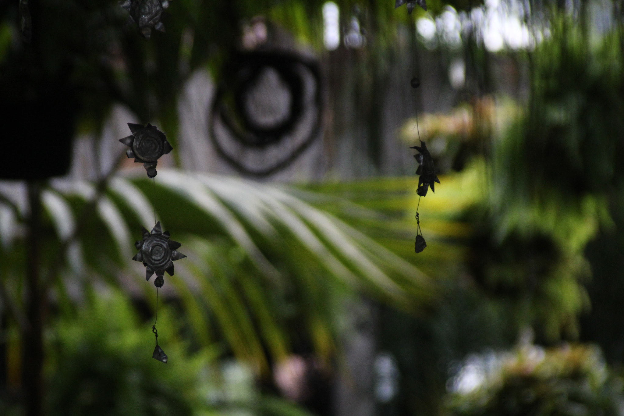 Tamron AF 28-200mm F3.8-5.6 XR Di Aspherical (IF) Macro sample photo. Tropical flora photography