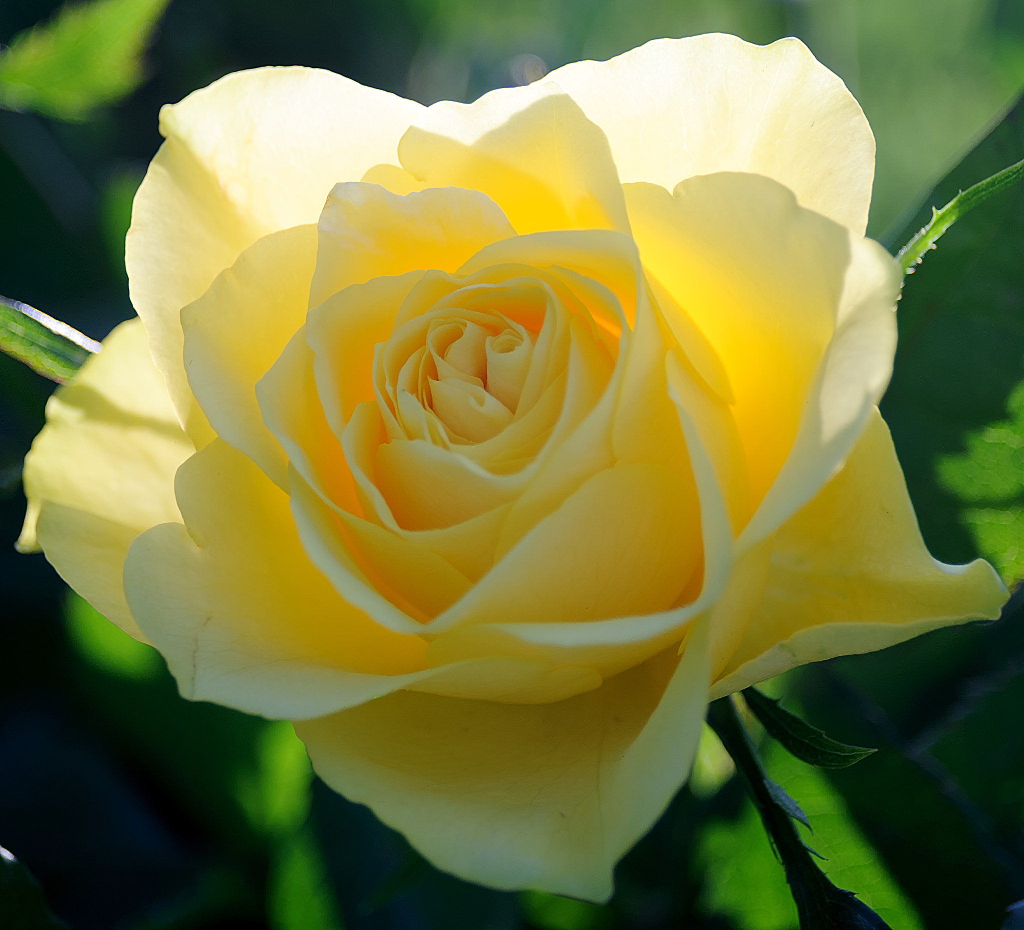 AF Zoom-Nikkor 28-80mm f/3.3-5.6G sample photo. . photography