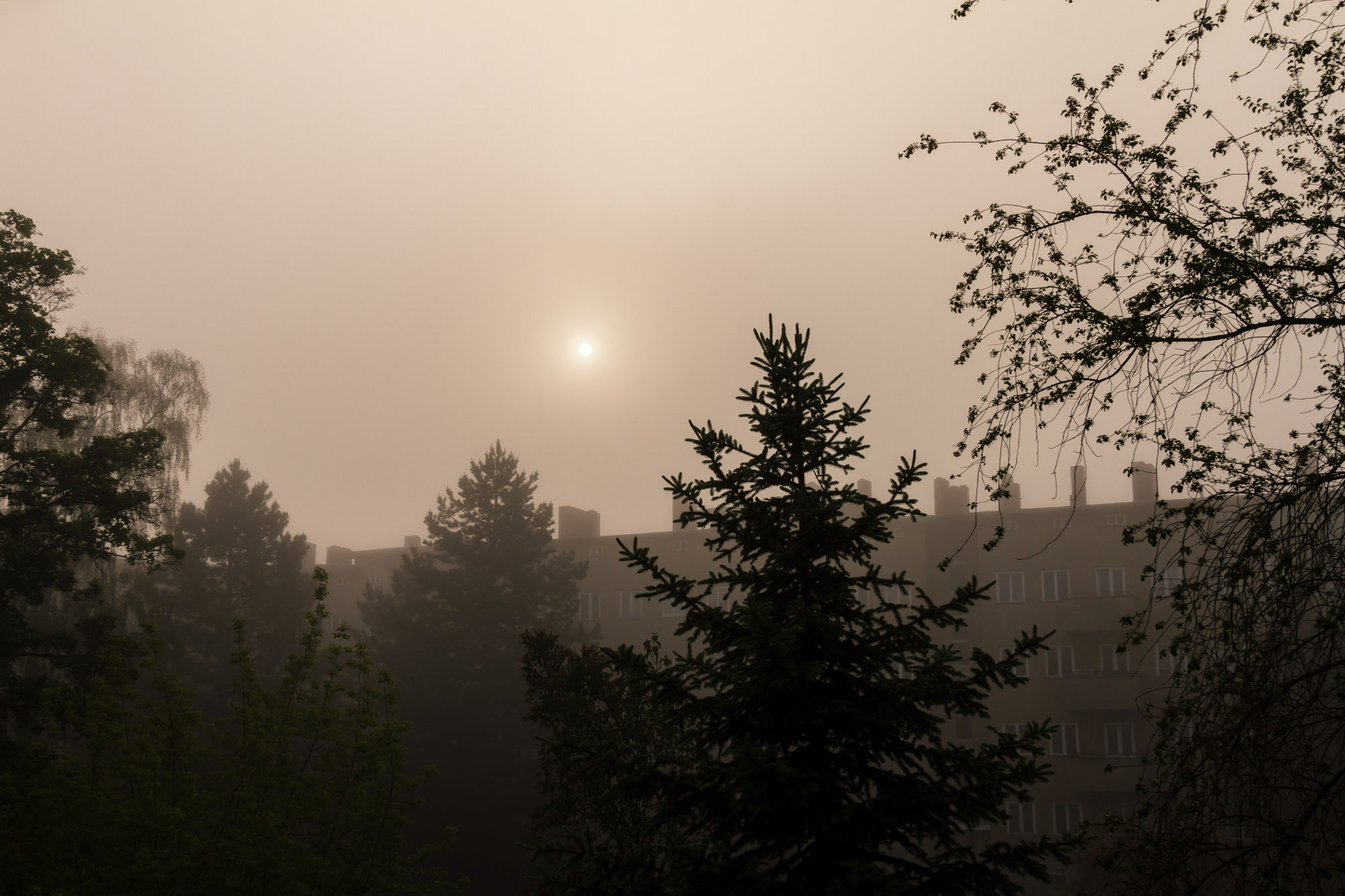 Sigma 24-105mm f/4 DG OS HSM | A sample photo. Nebl in berlin photography