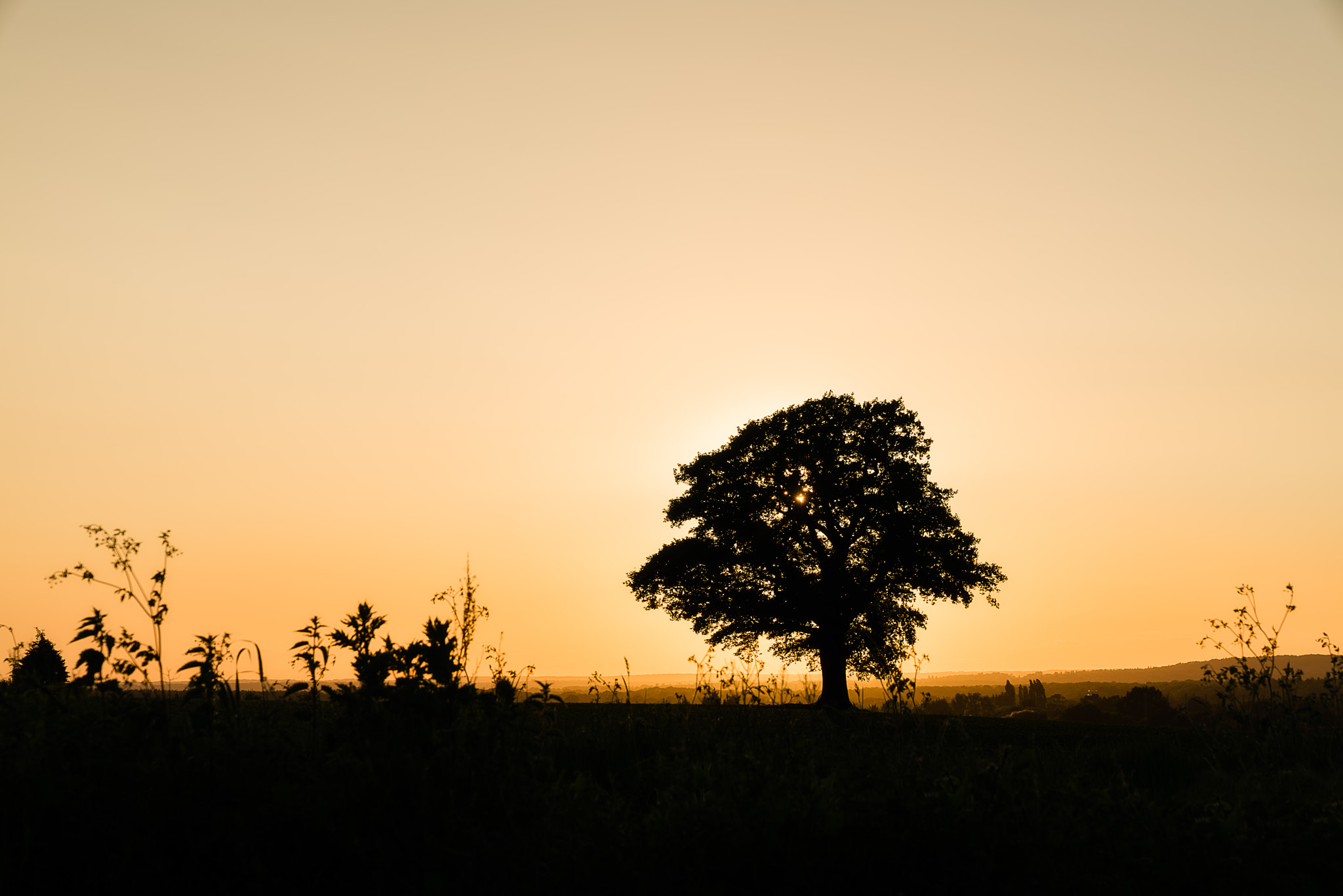 Sony a7R + Sony FE 24-70mm F2.8 GM sample photo. In silhouette photography