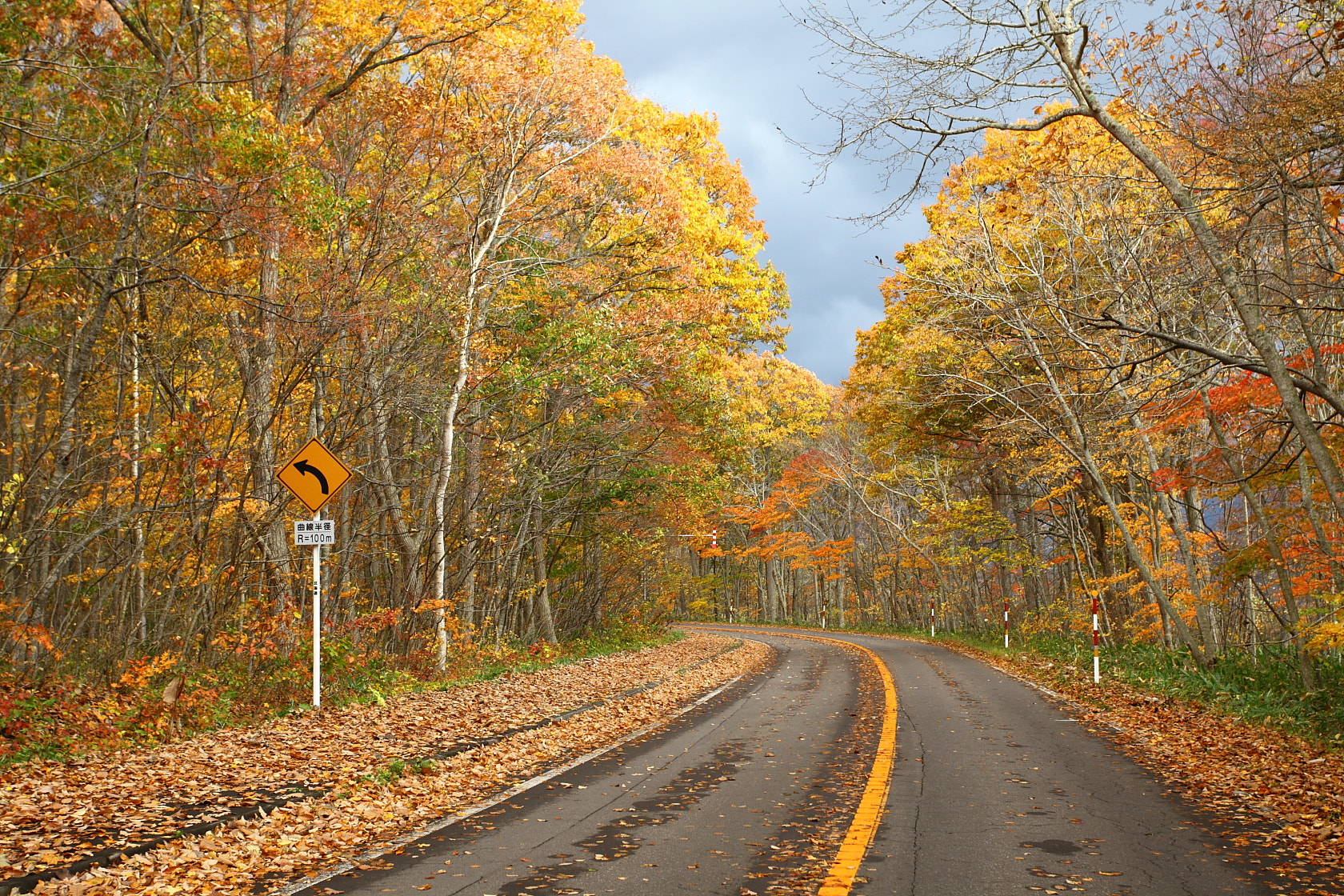 Canon EF 17-40mm F4L USM sample photo. The colour of autumn photography