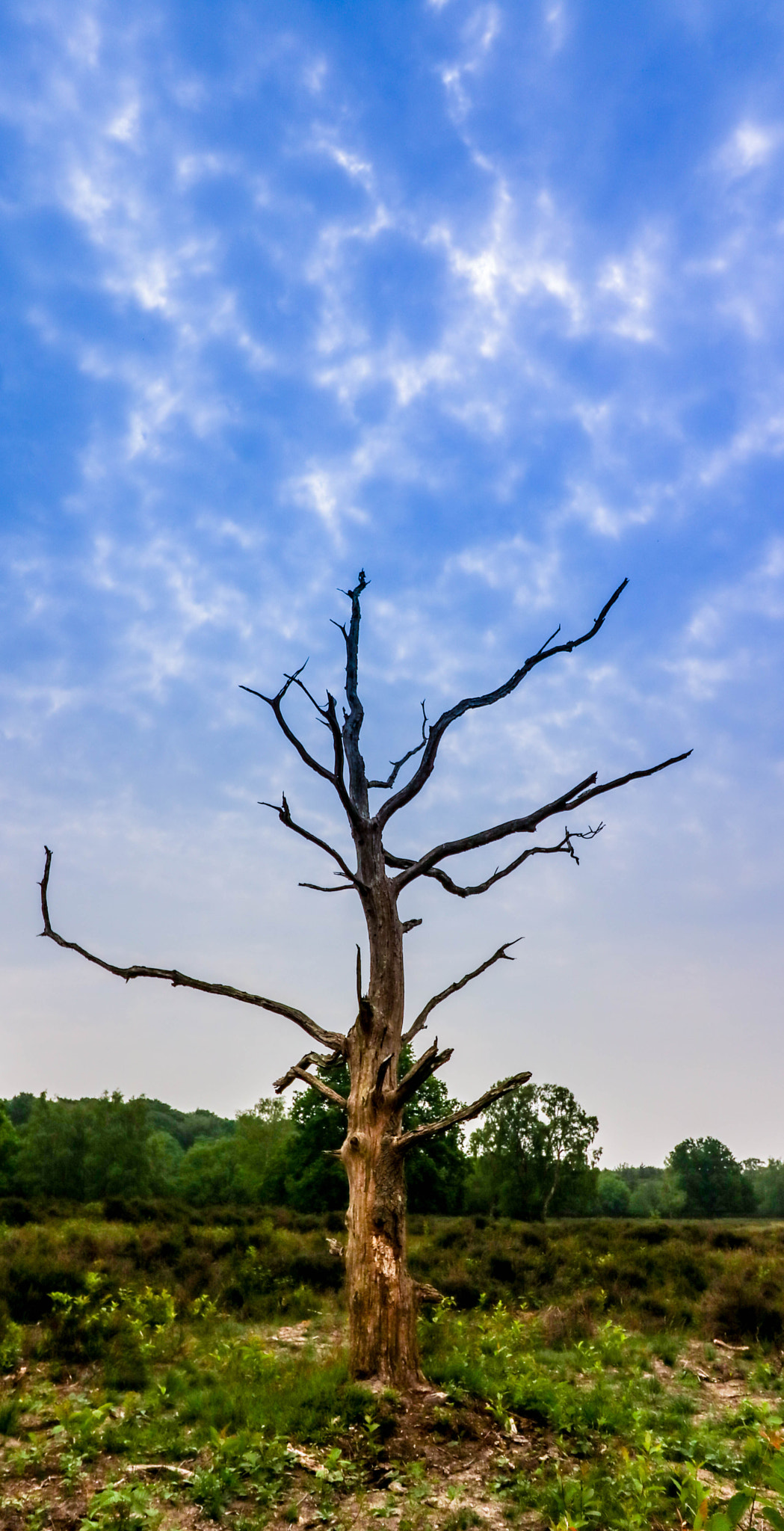 Canon EF-S 10-18mm F4.5–5.6 IS STM sample photo