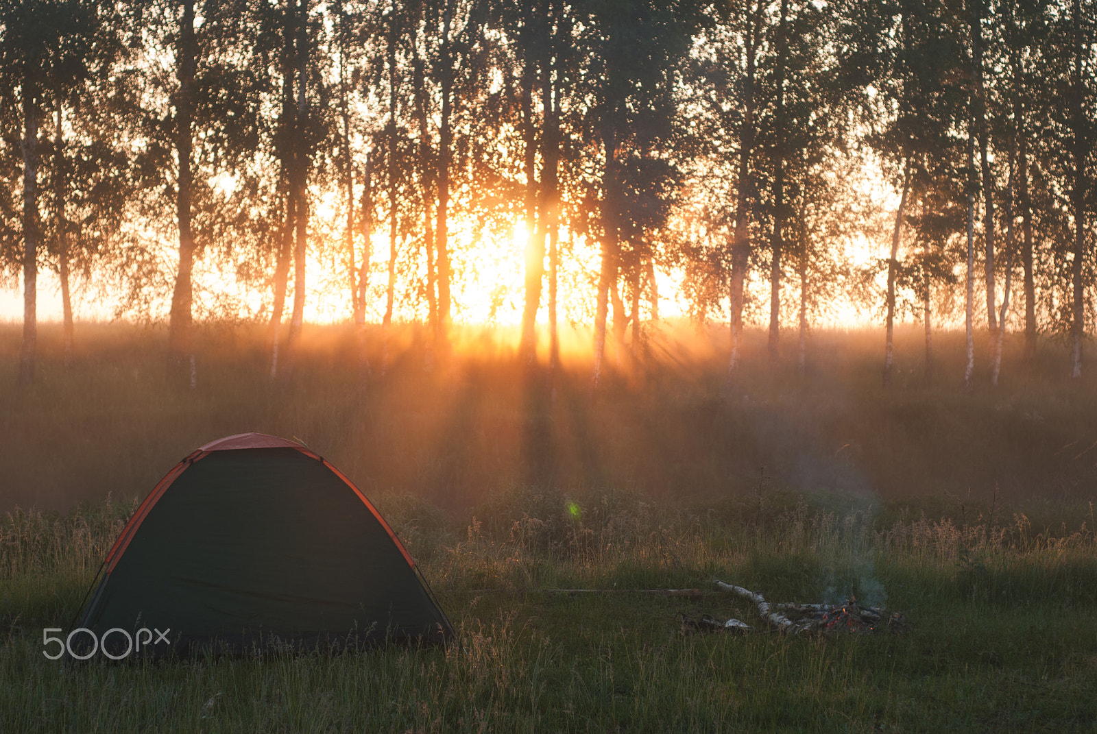 Nikon D80 + AF Nikkor 50mm f/1.8 N sample photo. The silhouette of the tent at dawn, photography