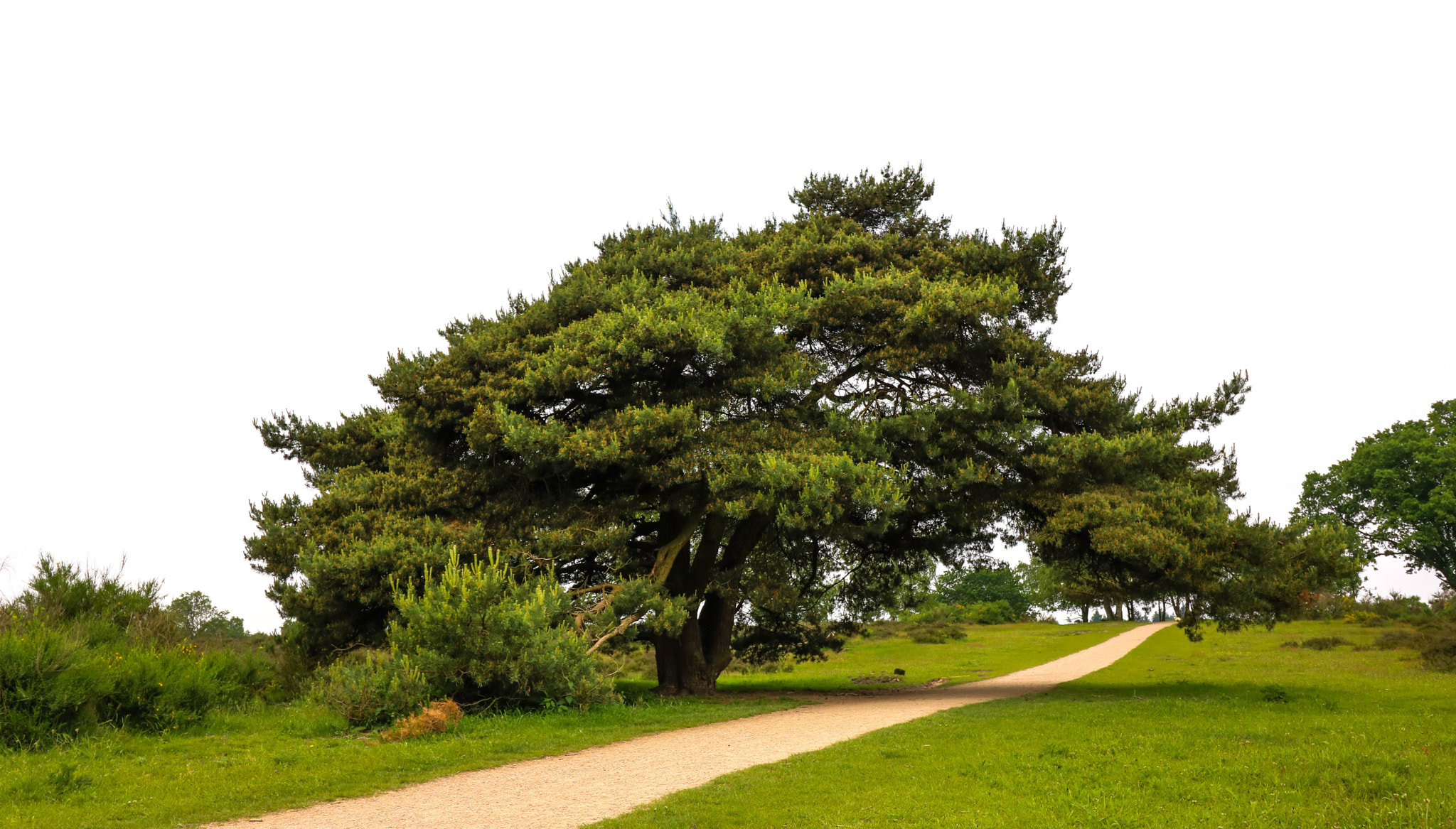 Canon EF-S 10-18mm F4.5–5.6 IS STM sample photo