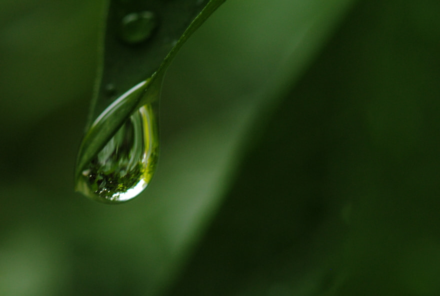 Nikon AF-S Micro-Nikkor 105mm F2.8G IF-ED VR sample photo. It's a different world in there photography