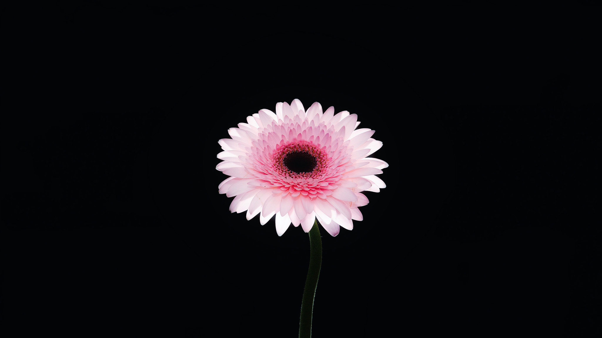 Sony DT 16-105mm F3.5-5.6 sample photo. Light / luz photography