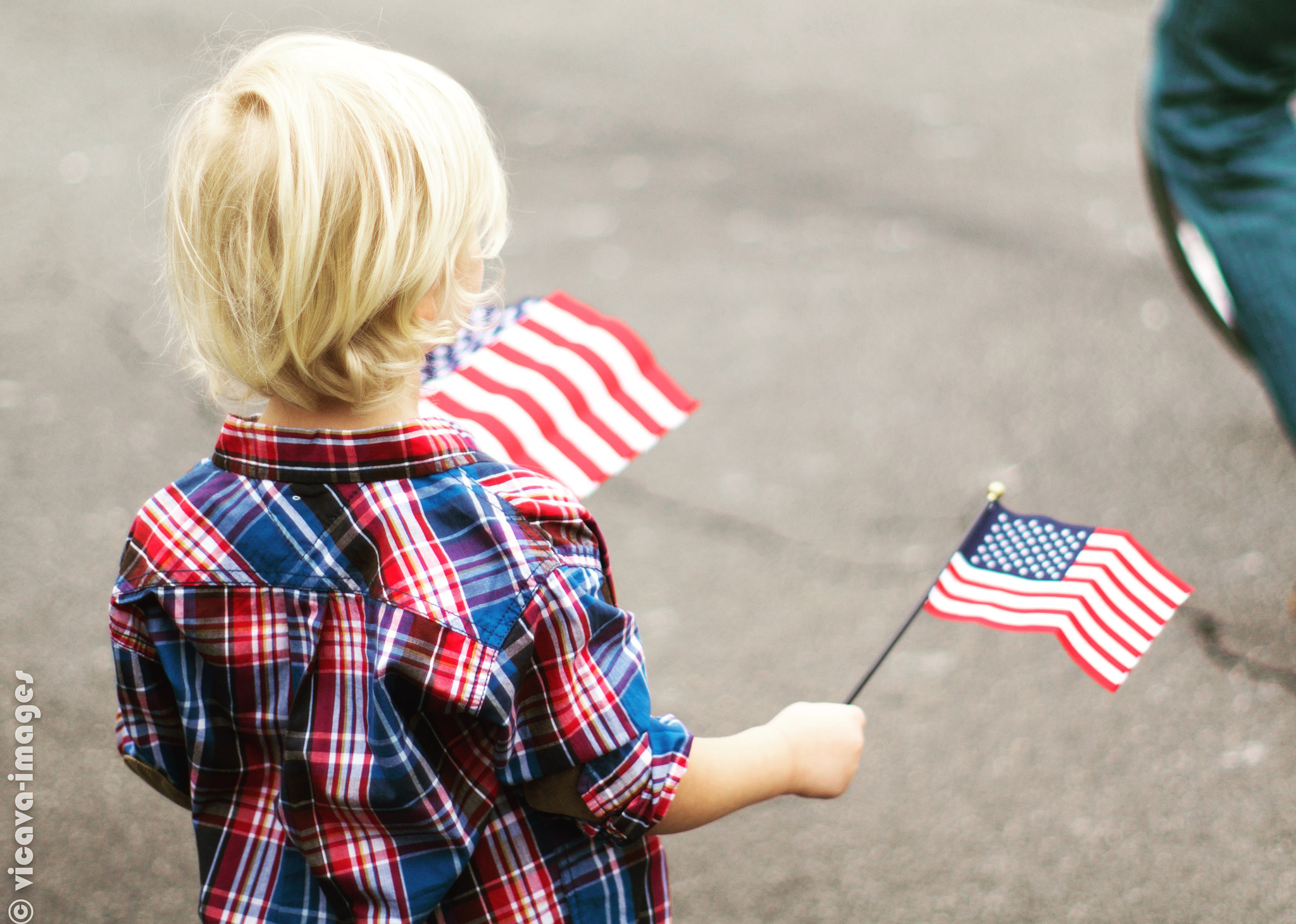 Sony SLT-A55 (SLT-A55V) + Sony 50mm F1.4 sample photo. Little patriot photography