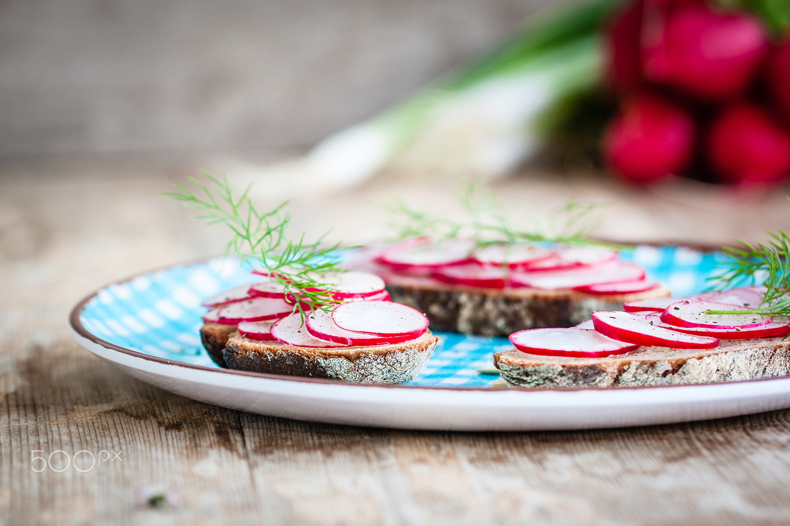 Canon EOS 1000D (EOS Digital Rebel XS / EOS Kiss F) + Canon EF 100mm F2.8L Macro IS USM sample photo. Vegan sandwiches with radish and dill photography