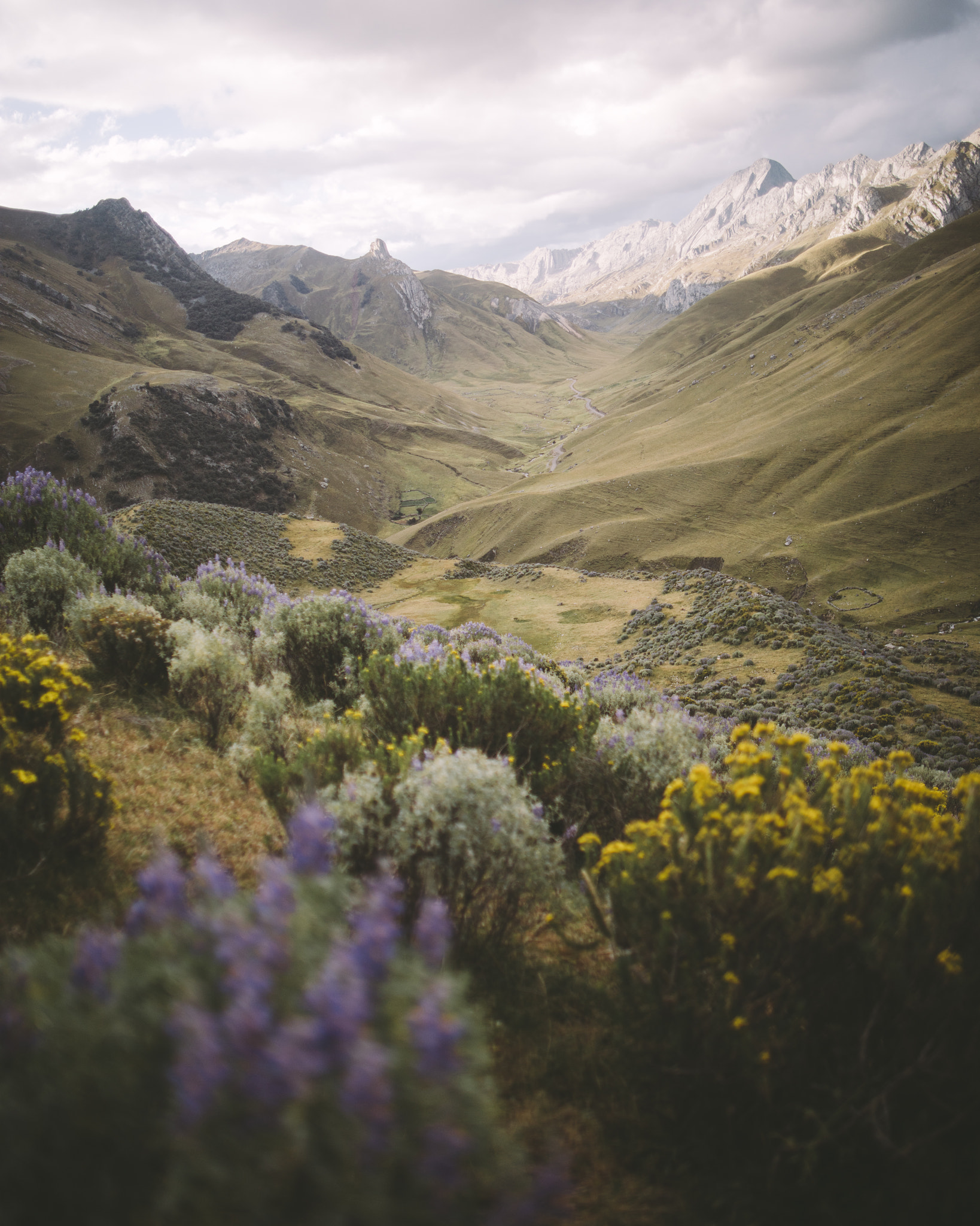 Canon EOS 5DS + Canon EF 24mm F1.4L II USM sample photo. Valle rondoy photography