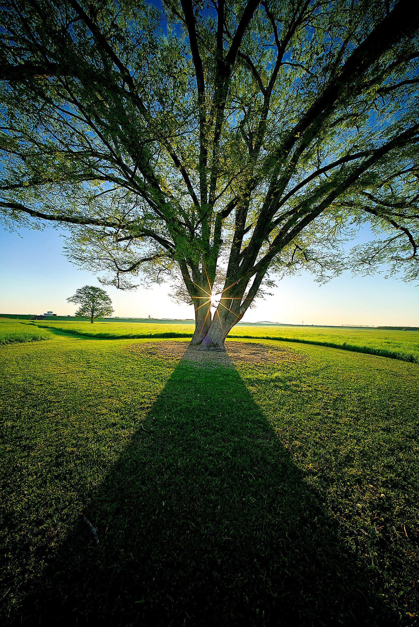 E 10mm F5.6 sample photo. Rays #2 photography