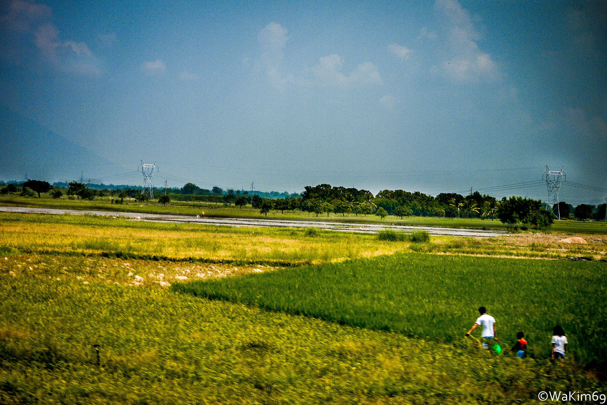 Panasonic Lumix DMC-G10 sample photo. Stroll along the fields... photography