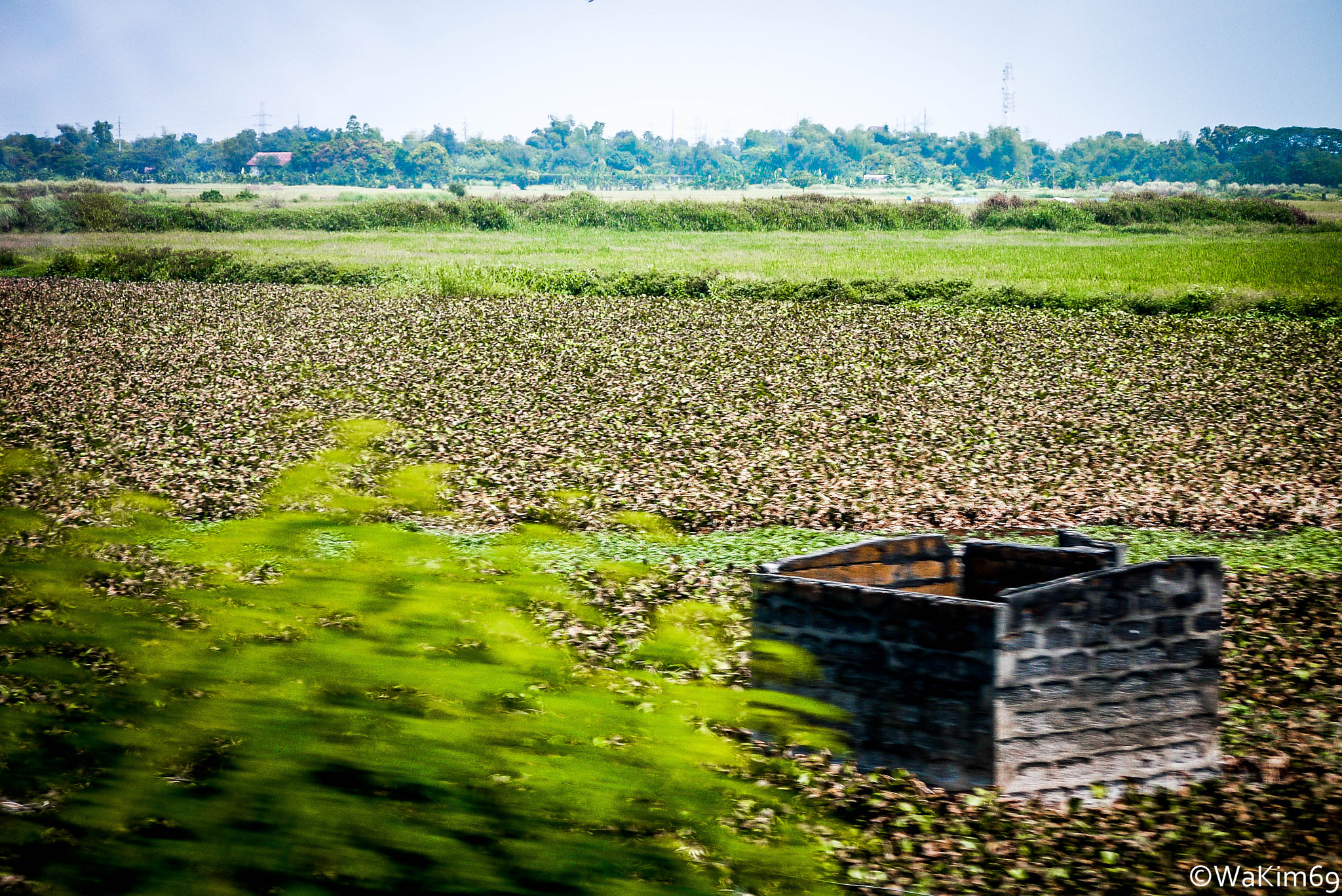 Panasonic Lumix DMC-G10 + Panasonic Lumix G Vario 45-200mm F4-5.6 OIS sample photo. Abandoned... photography