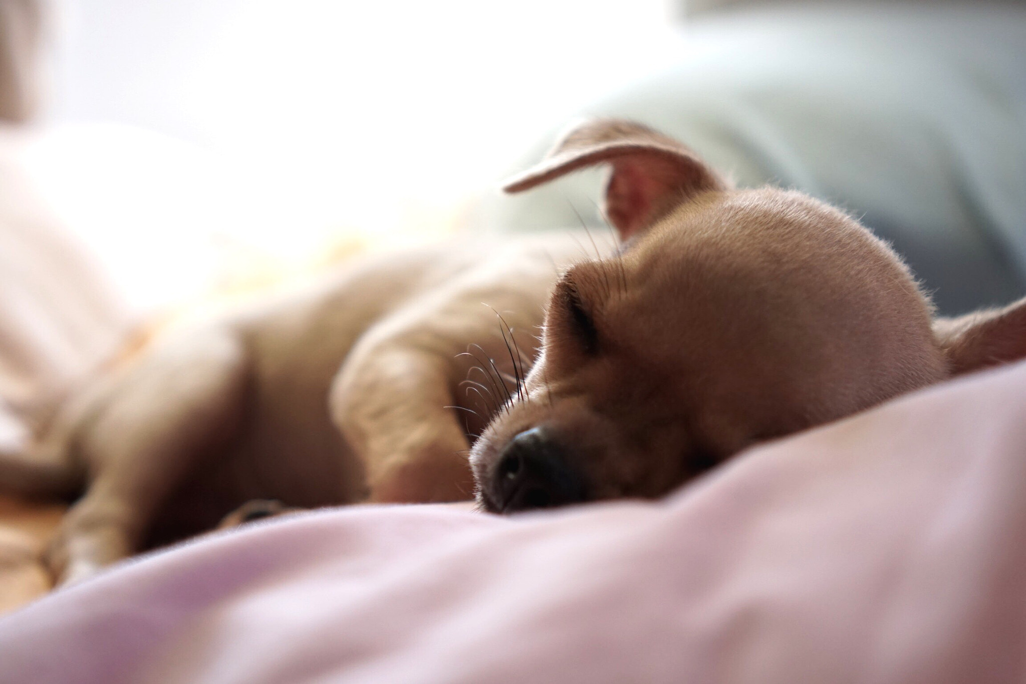 Sony a6000 + Sony Sonnar T* FE 35mm F2.8 ZA sample photo