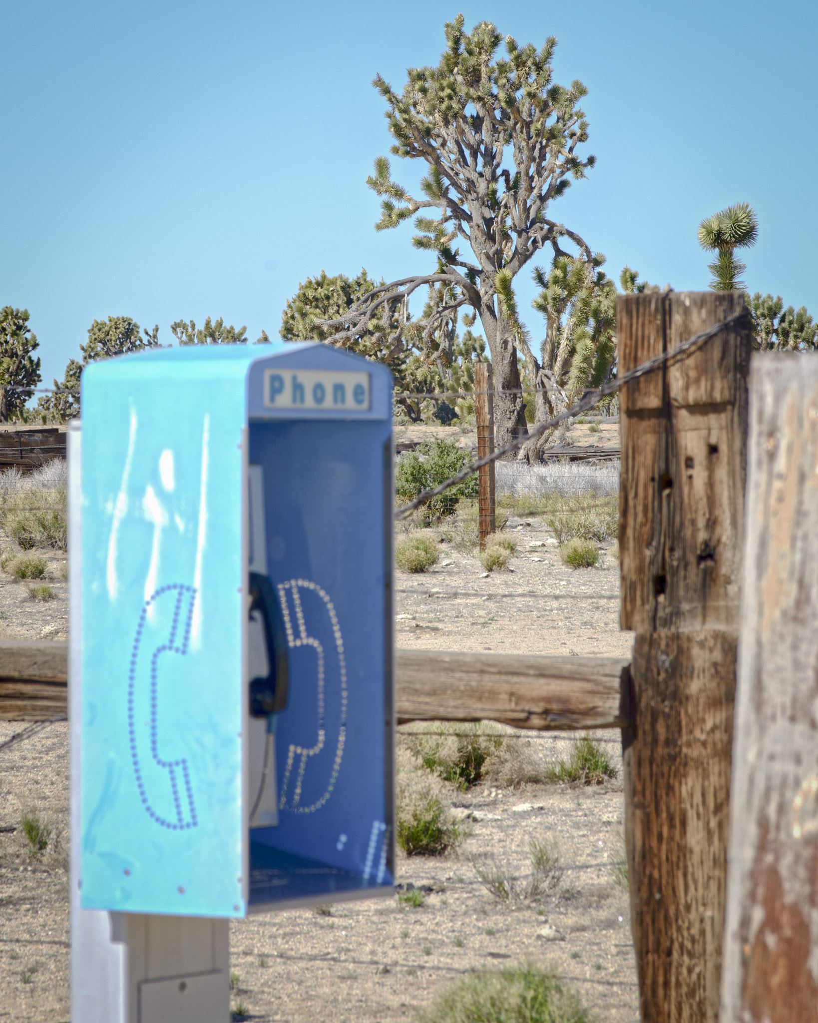 AF Zoom-Nikkor 28-105mm f/3.5-4.5D IF sample photo. Desert calling photography