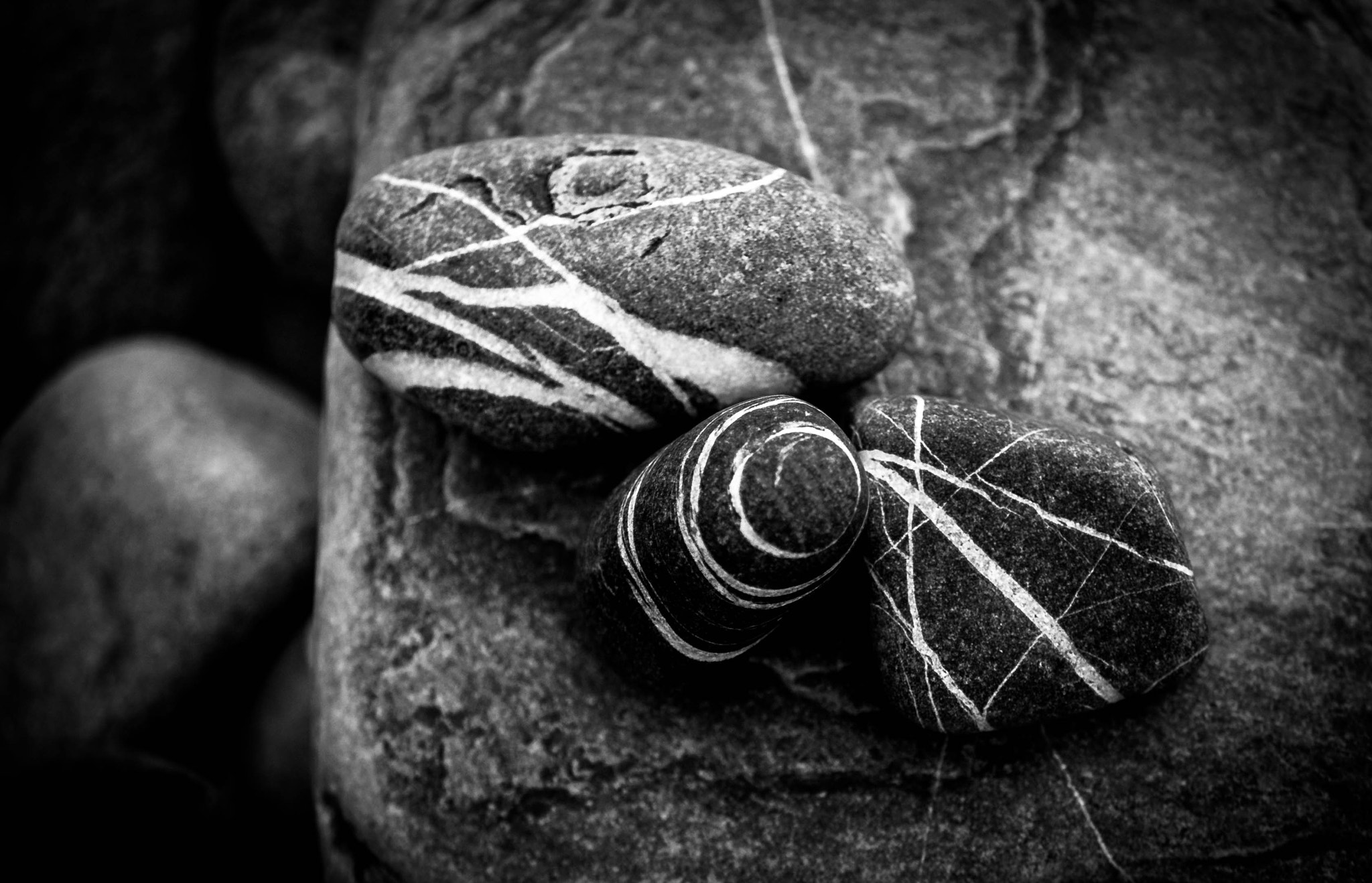 Canon EOS 1000D (EOS Digital Rebel XS / EOS Kiss F) sample photo. Stripes everywhere photography