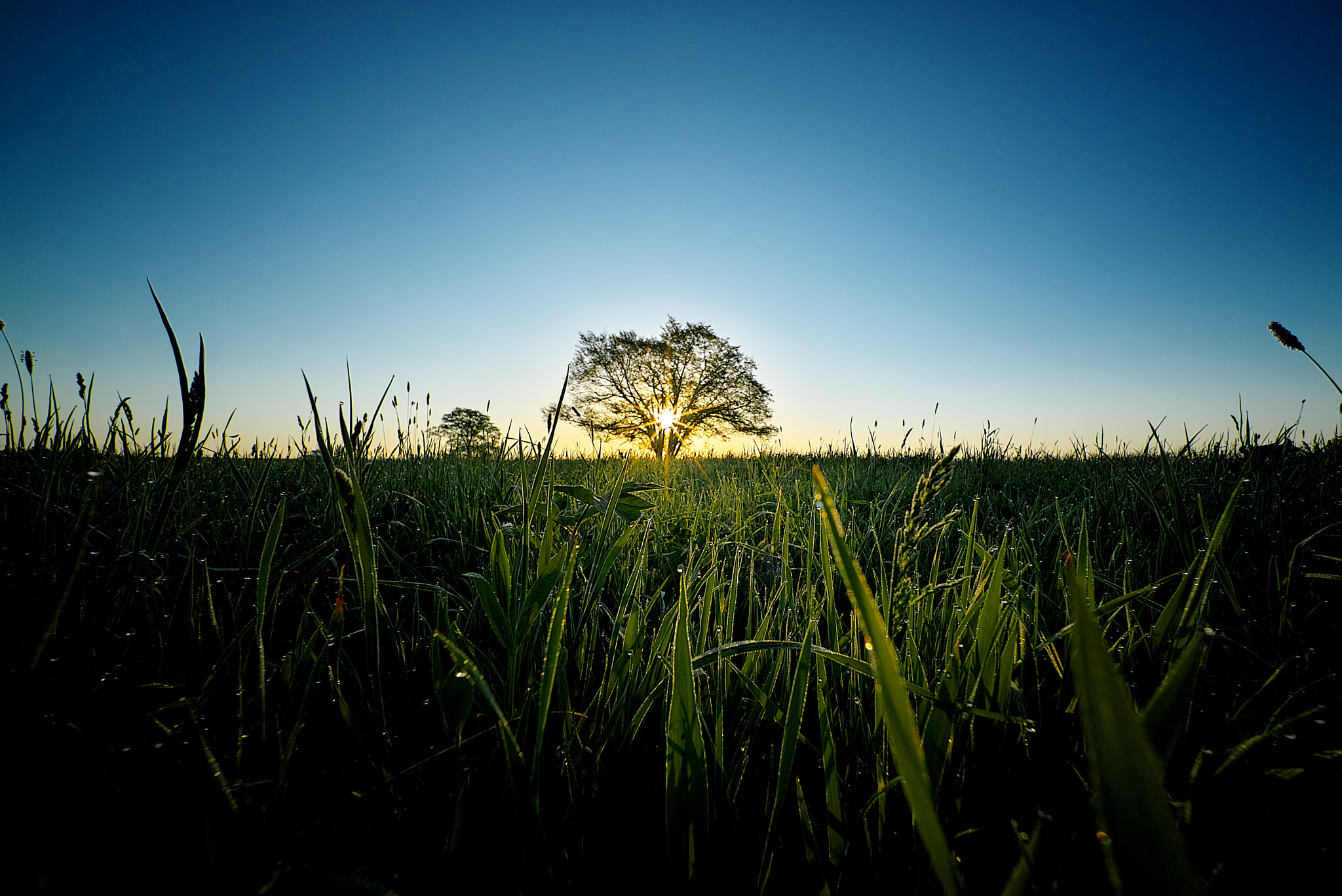 E 10mm F5.6 sample photo. Rays #3 photography