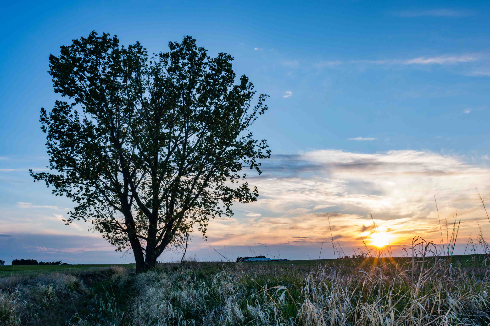 Nikon D7100 + AF Nikkor 20mm f/2.8 sample photo. Sundown in springtime photography