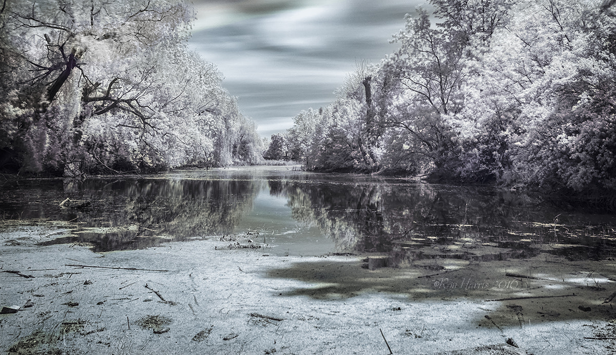 Sigma AF 10-20mm F4-5.6 EX DC sample photo. Boucherville, qc photography