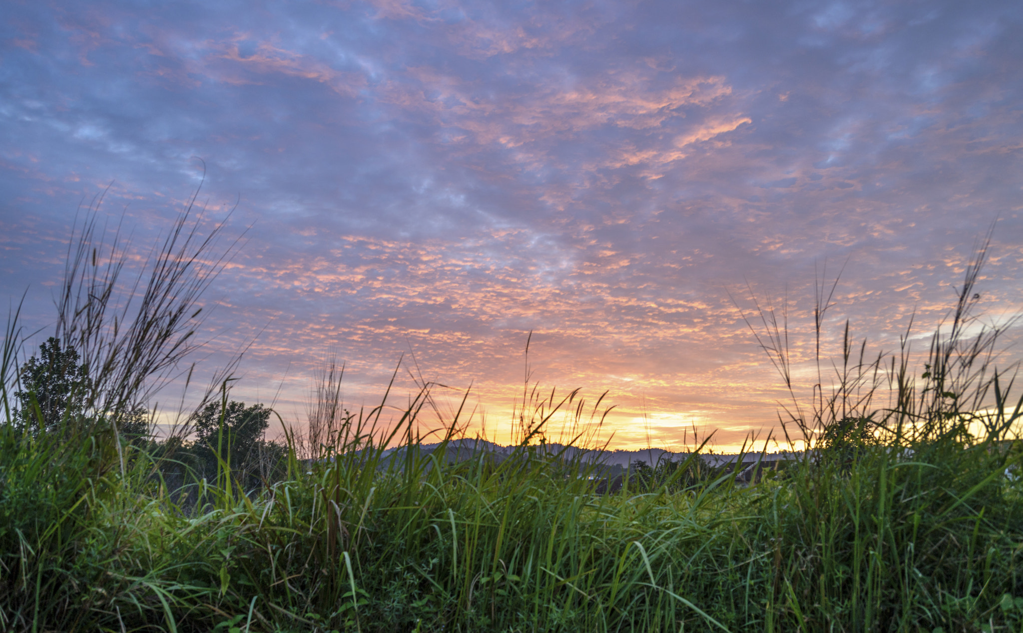 AF Zoom-Nikkor 28-80mm f/3.3-5.6G sample photo. Sunrise at the field photography