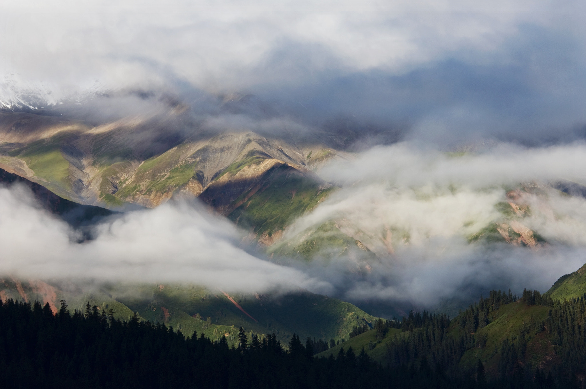Nikon D2X sample photo. 祁连山#青海 photography