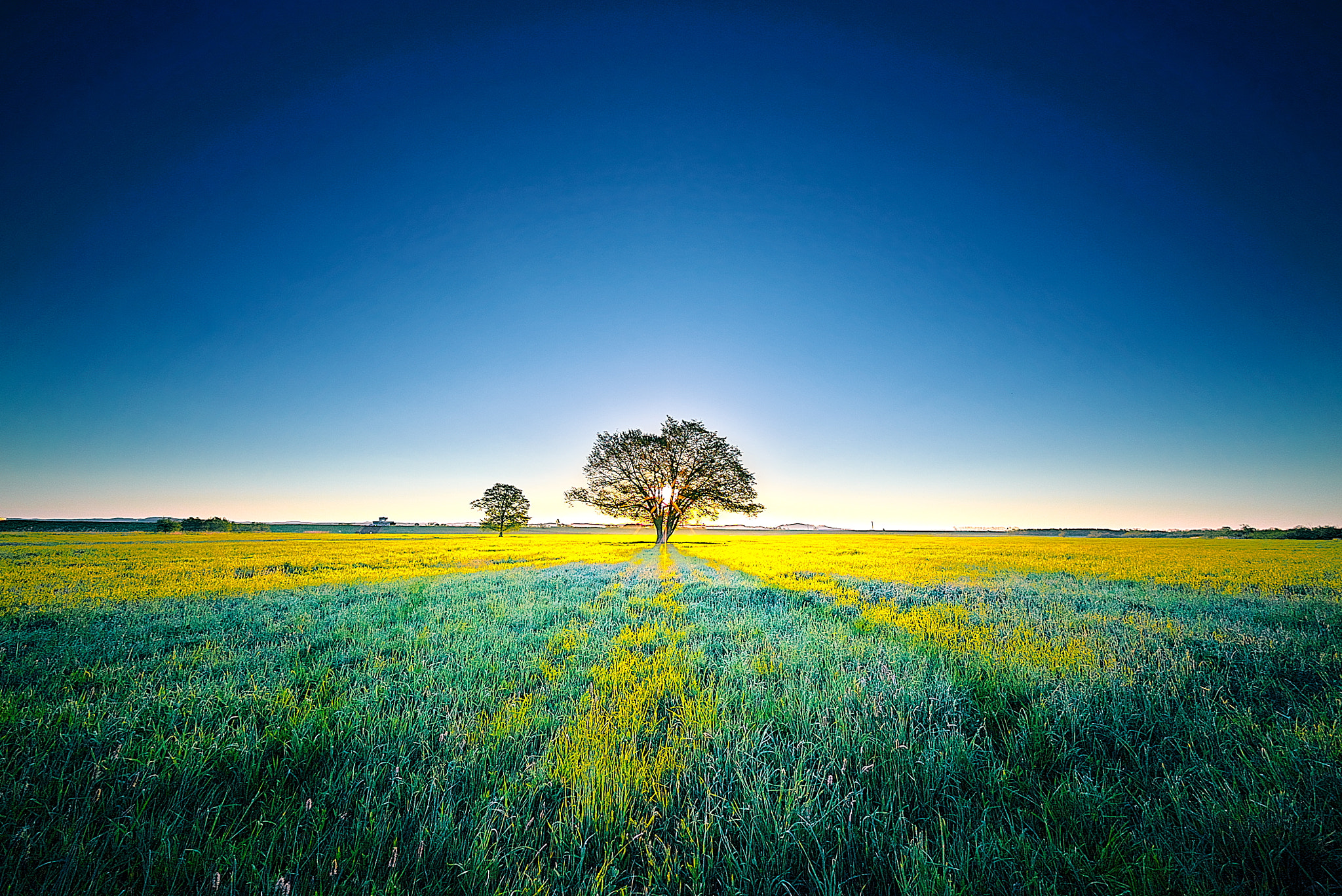 E 10mm F5.6 sample photo. Good day sunshine photography