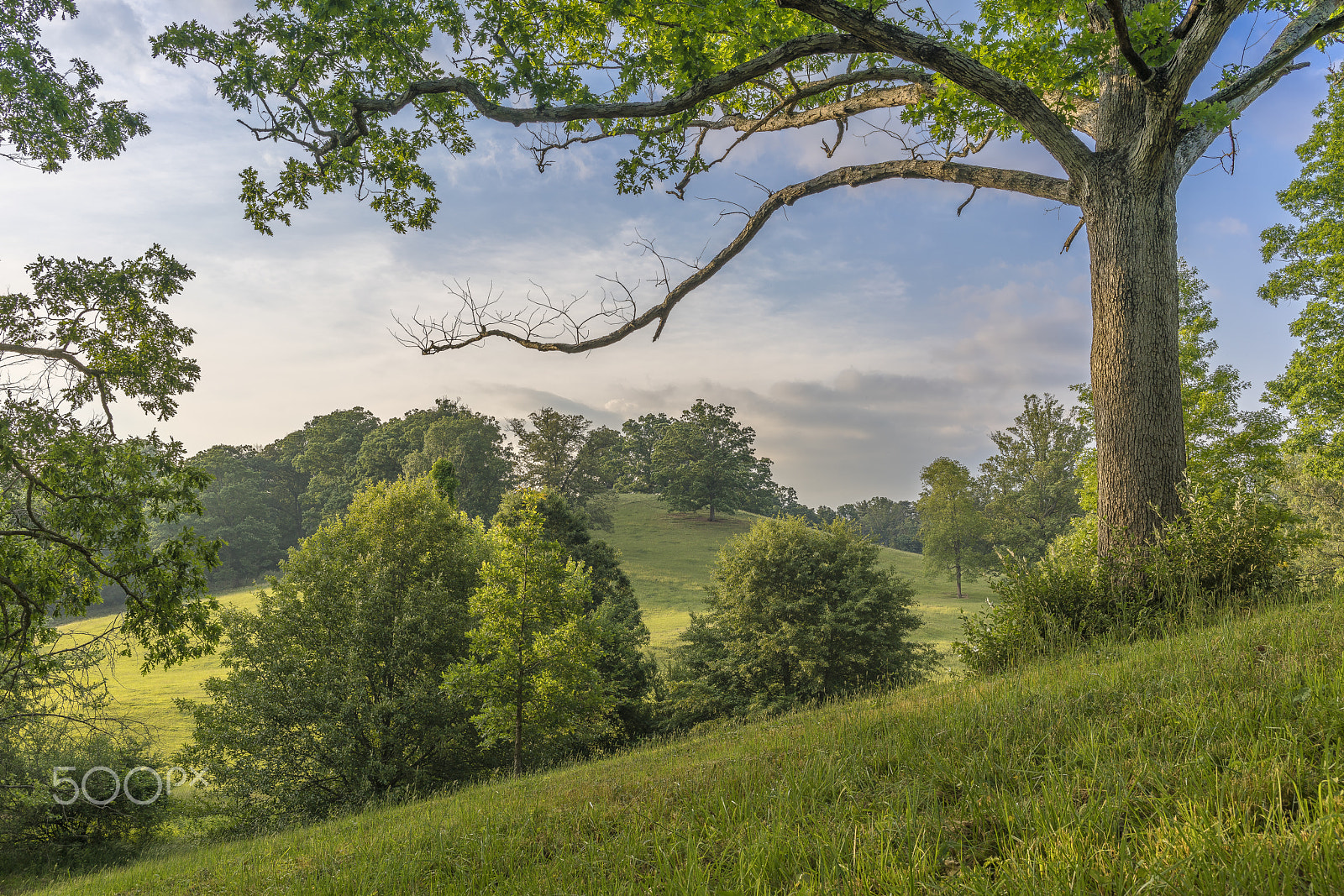 E 35mm F2 sample photo. Hills and trees photography