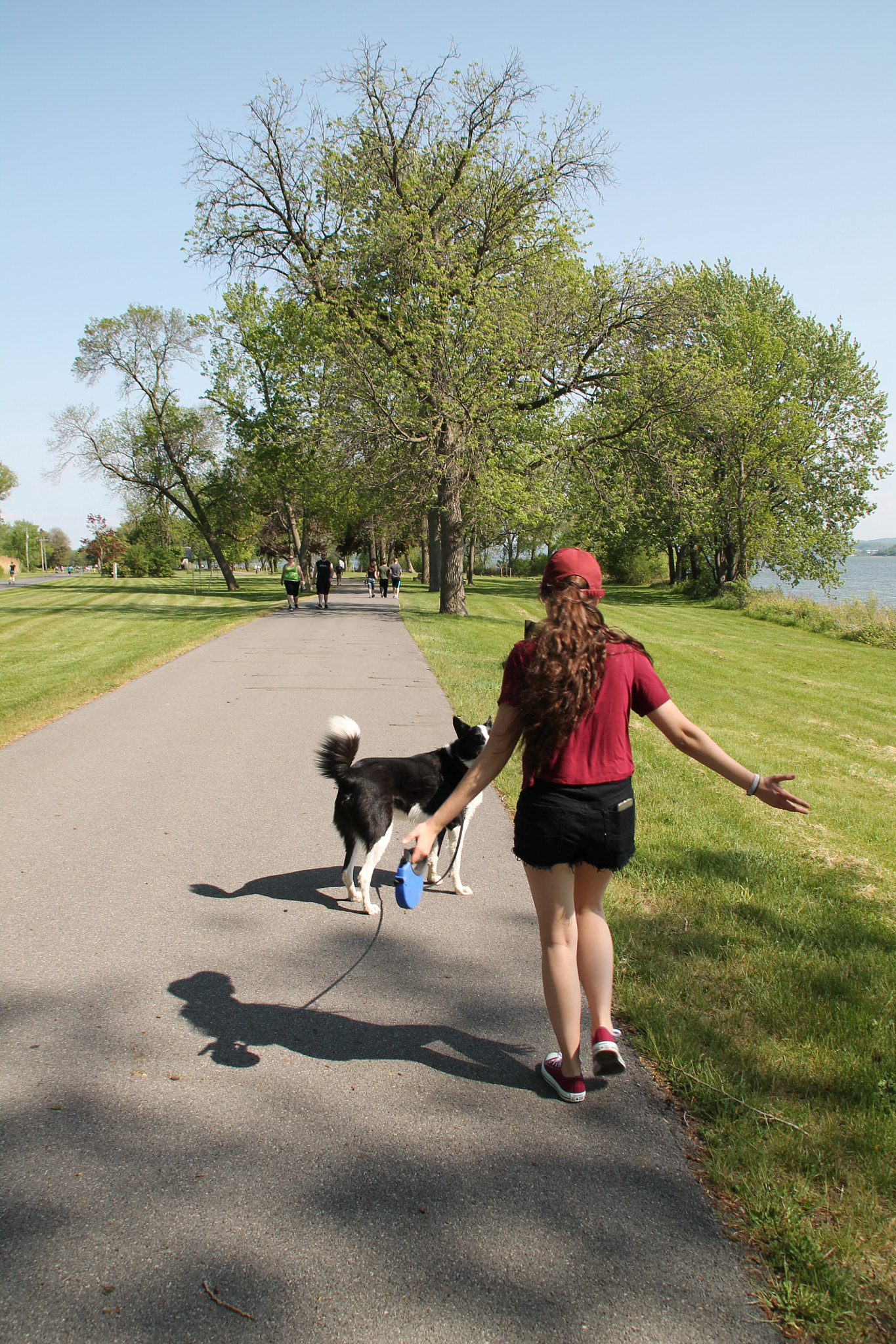 Canon EOS 1100D (EOS Rebel T3 / EOS Kiss X50) sample photo. Olp no. 22 photography