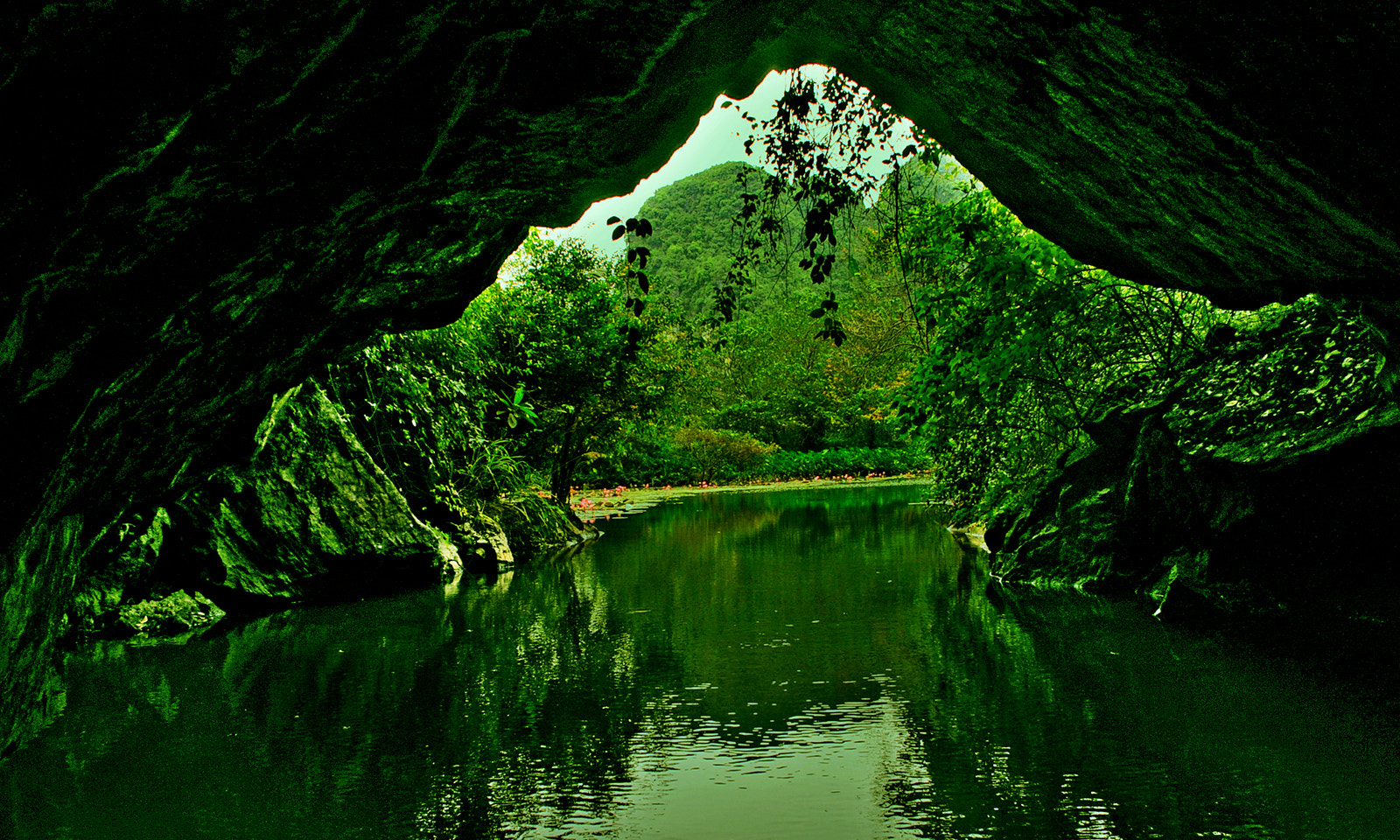 Nikon D300 + Nikon AF Nikkor 20mm F2.8D sample photo. Hang dong ninh binh photography