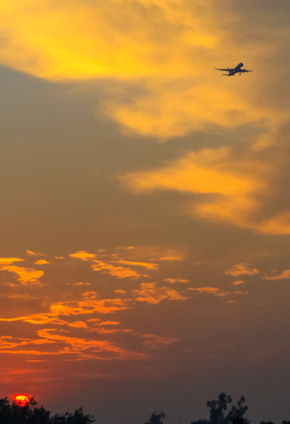 Canon EOS 5D Mark II + Tamron SP AF 17-35mm F2.8-4 Di LD Aspherical (IF) sample photo. Plane in the evening sky photography