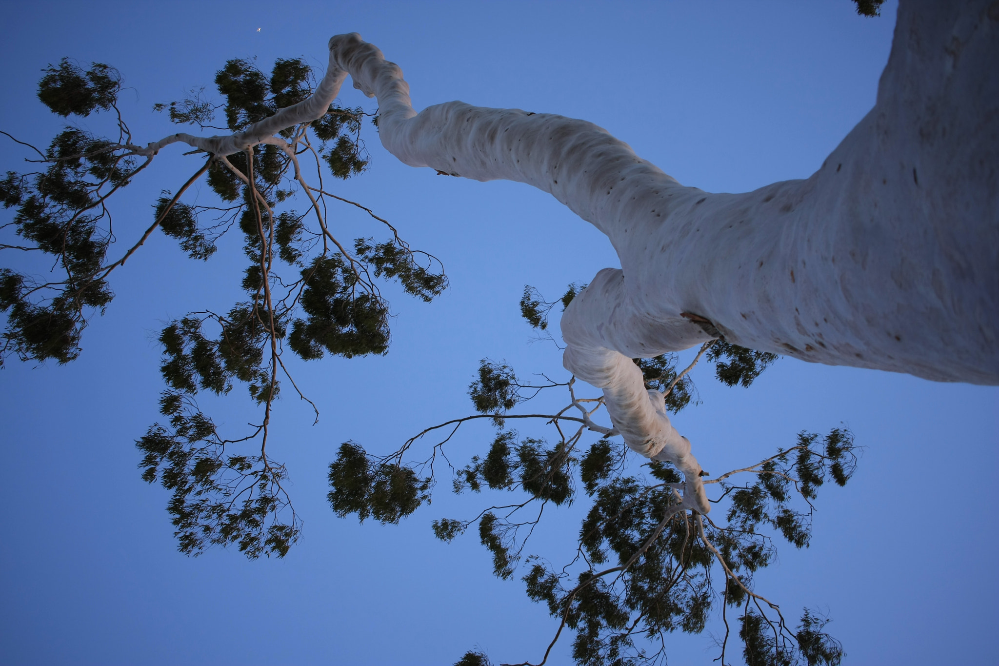 Canon EF-S 24mm F2.8 STM sample photo. Aaa photography