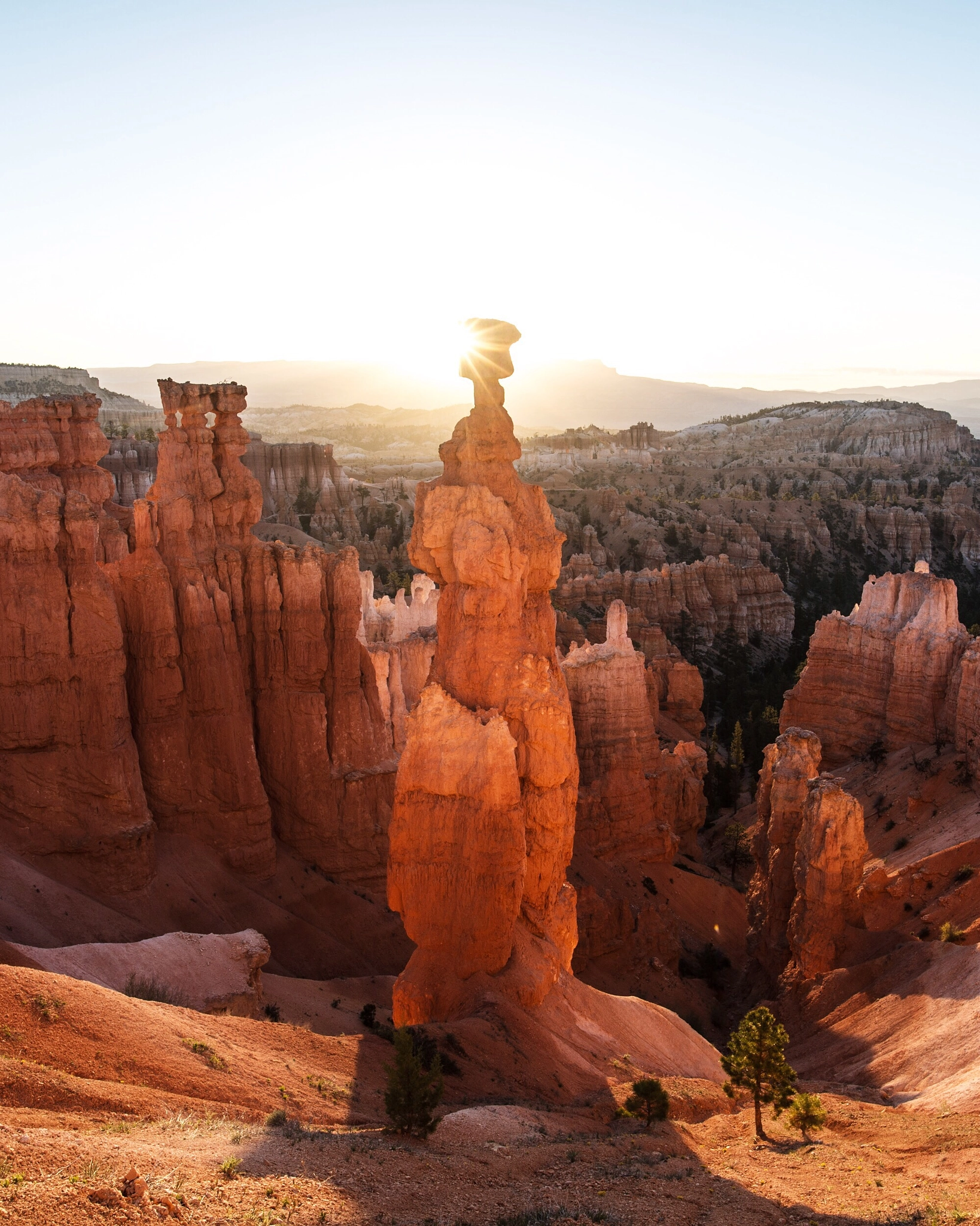 Nikon D4 + Nikon AF-S Nikkor 20mm F1.8G ED sample photo. Sunrise & thor's hammer hoodoo. bryce canyon. utah. photography