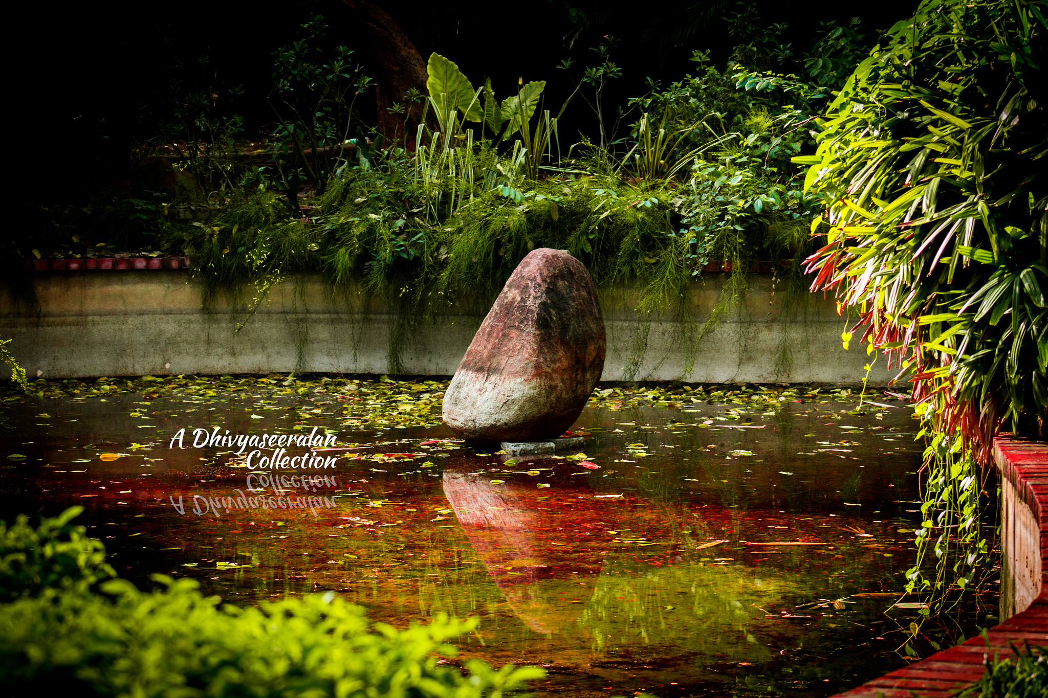 Canon EF 75-300mm f/4-5.6 USM sample photo. Reflection photography