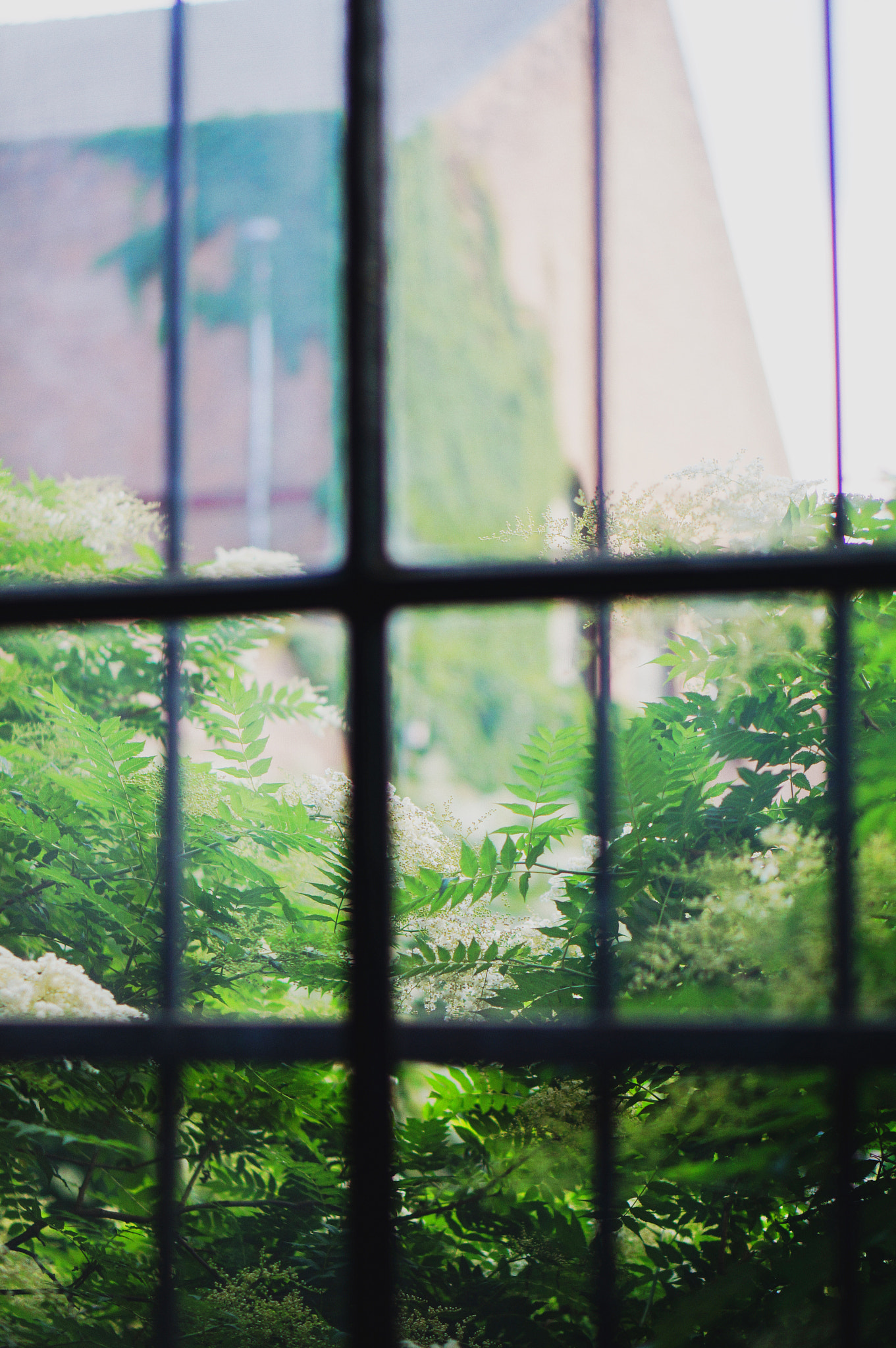 Sony Alpha NEX-5T + E 50mm F1.8 OSS sample photo. Window photography