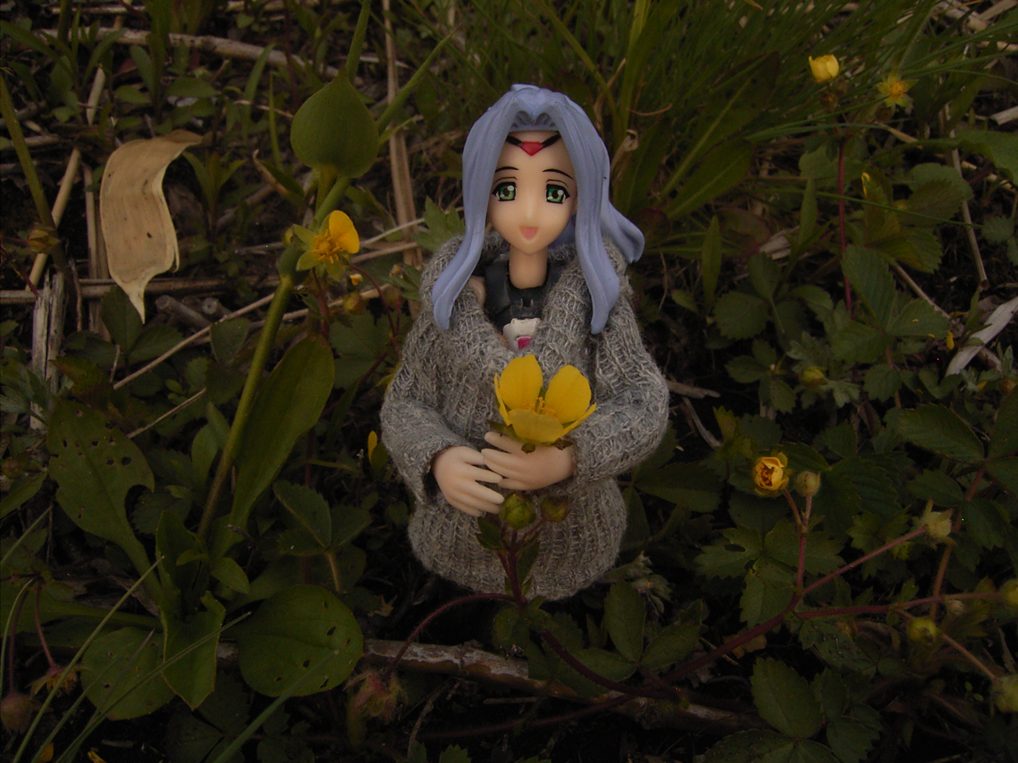 Ricoh Caplio G4 sample photo
