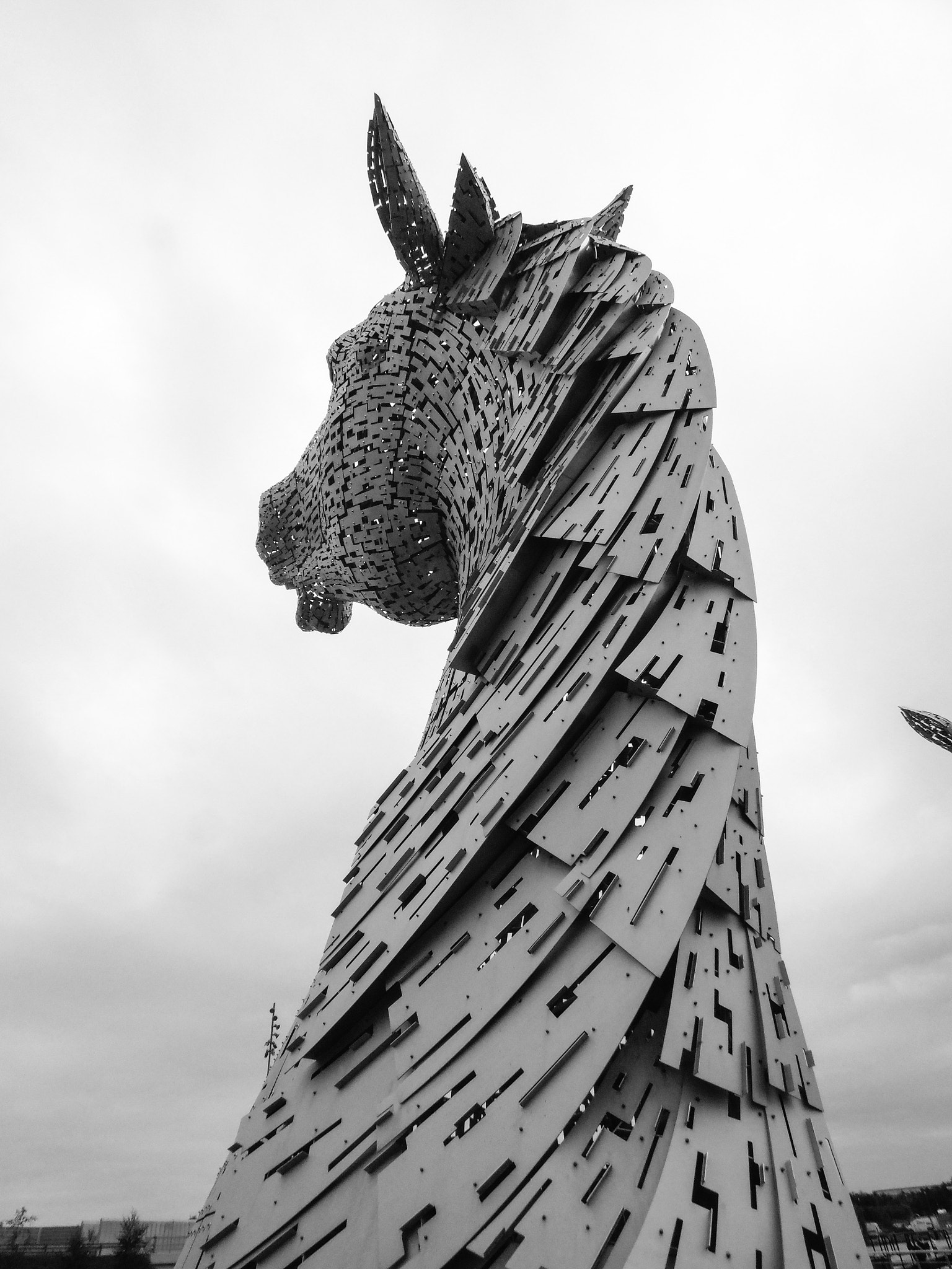 Samsung WB2200F sample photo. Kelpie photography