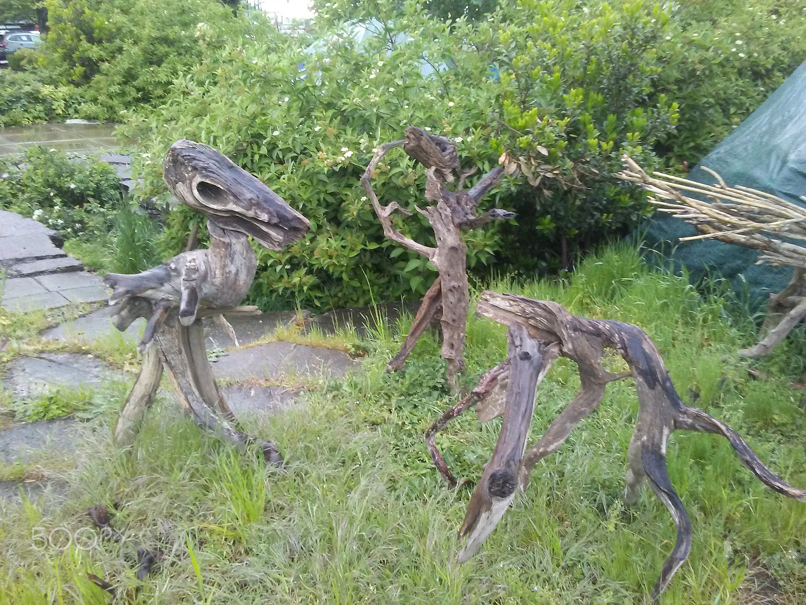 LG M1 sample photo. 20160429_190004.jpg jurassic campers photography