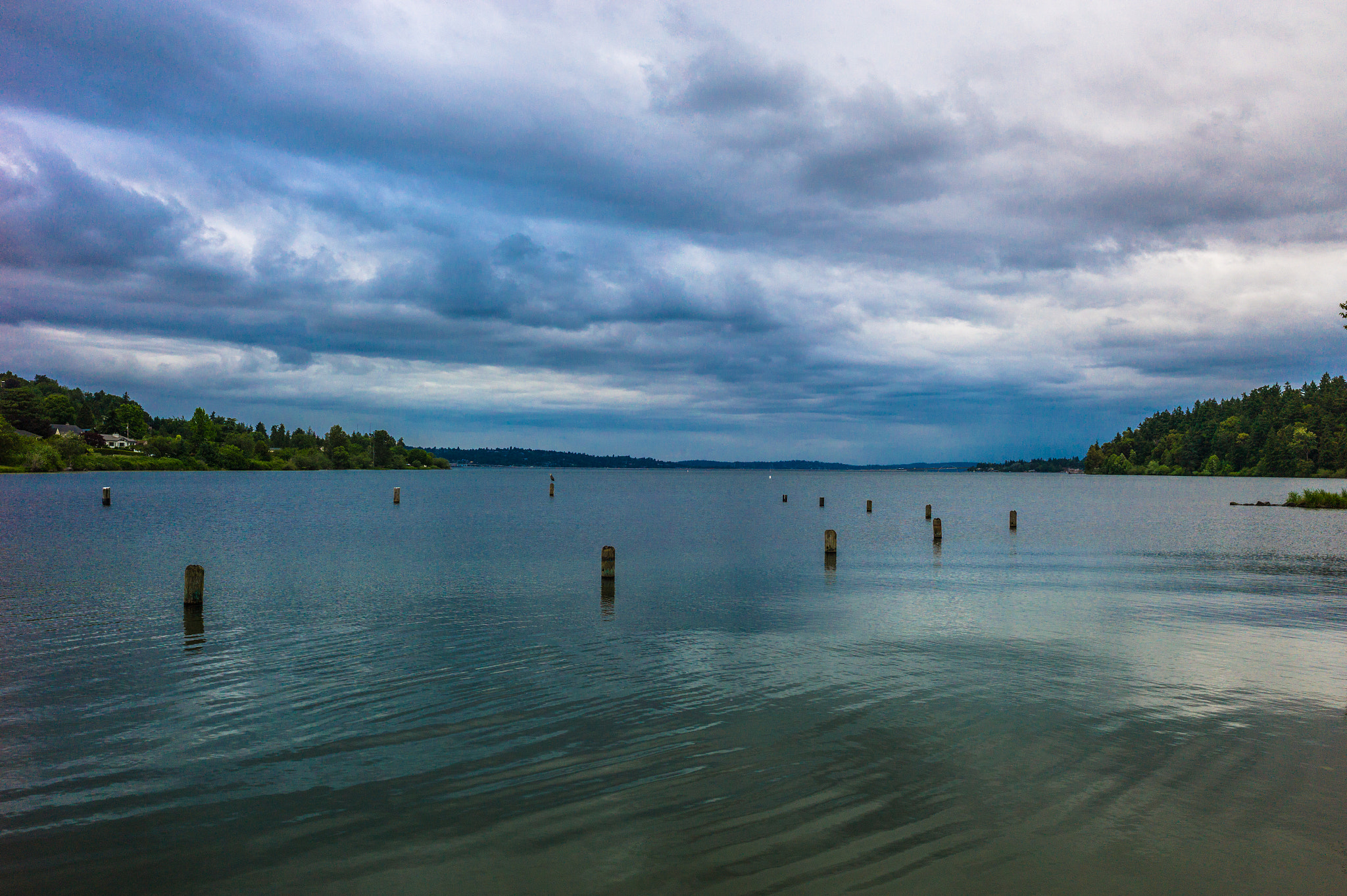 Leica M9 + Elmarit-M 28mm f/2.8 (IV) sample photo. Lake washington photography