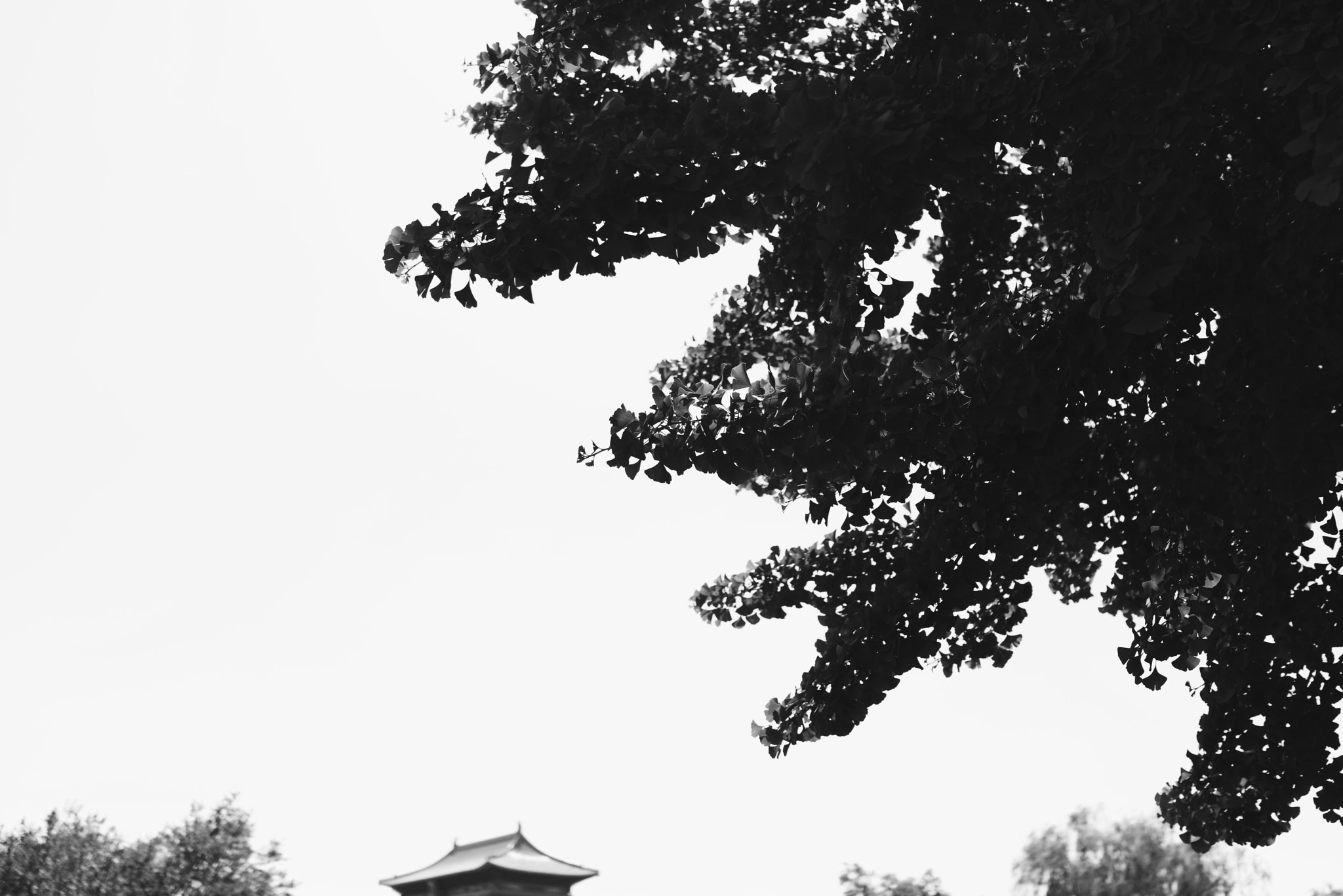 Sony 35mm F2.0 sample photo. 故宮剪影 photography