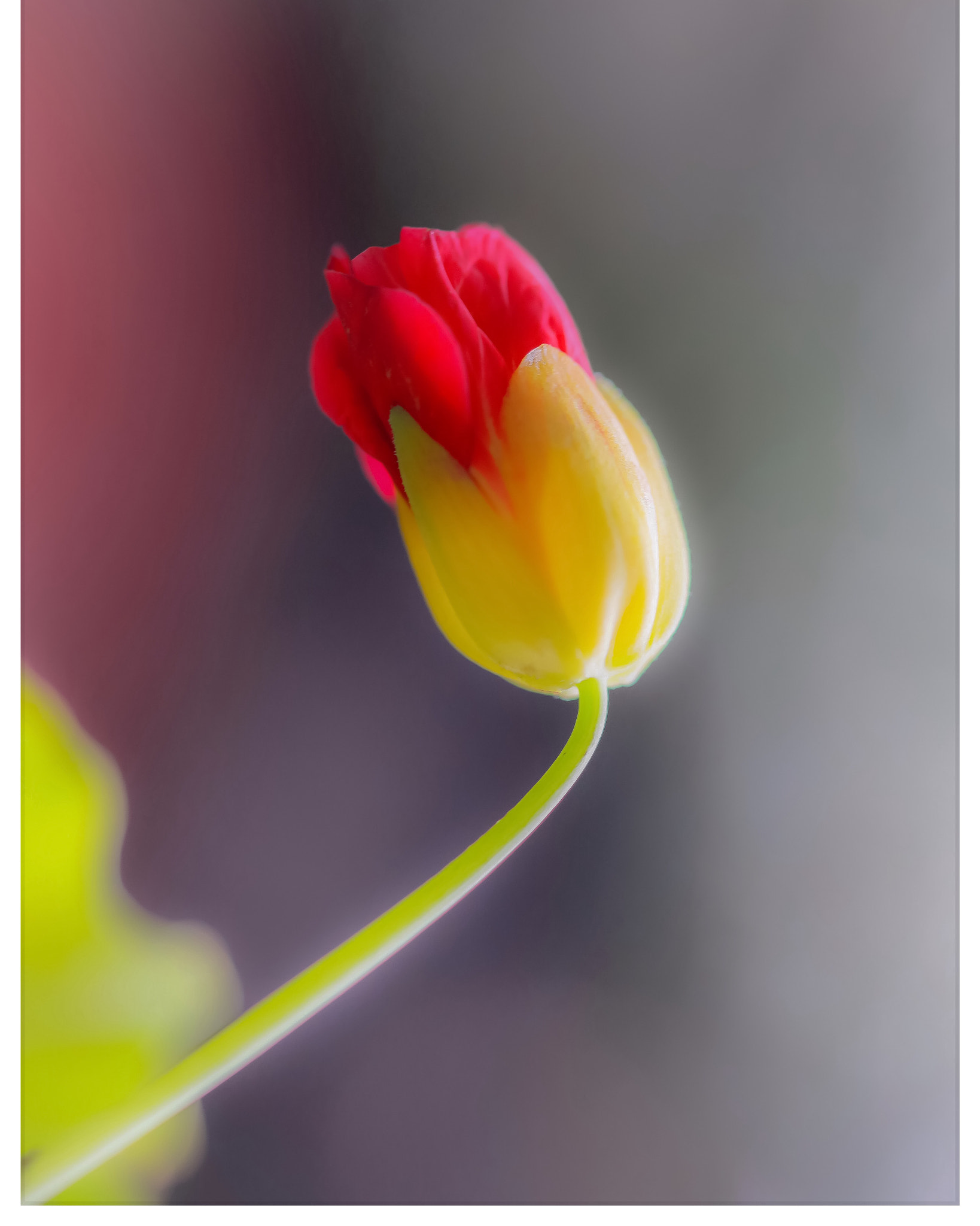 Canon EOS 5DS R sample photo