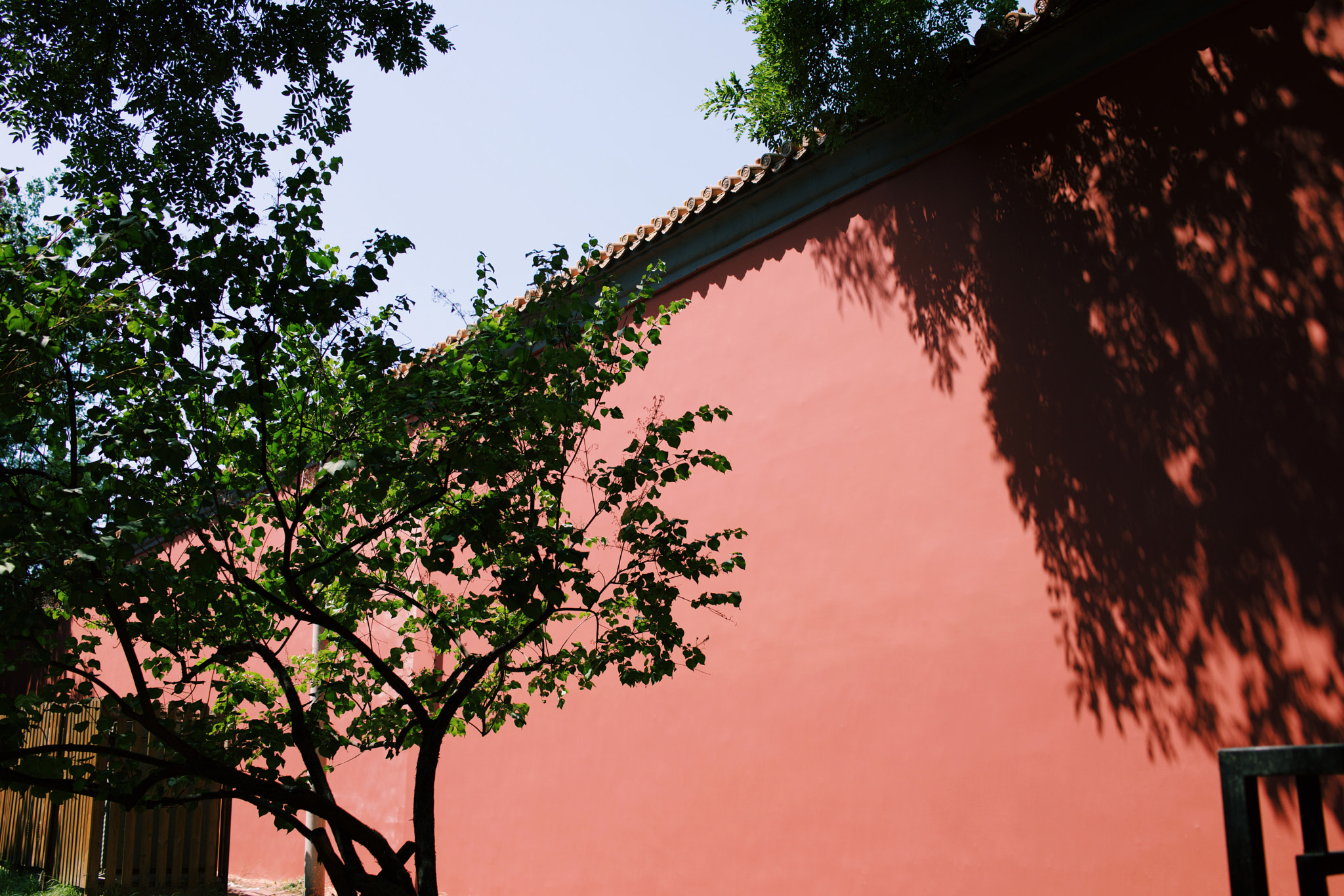 Sony 35mm F2.0 sample photo