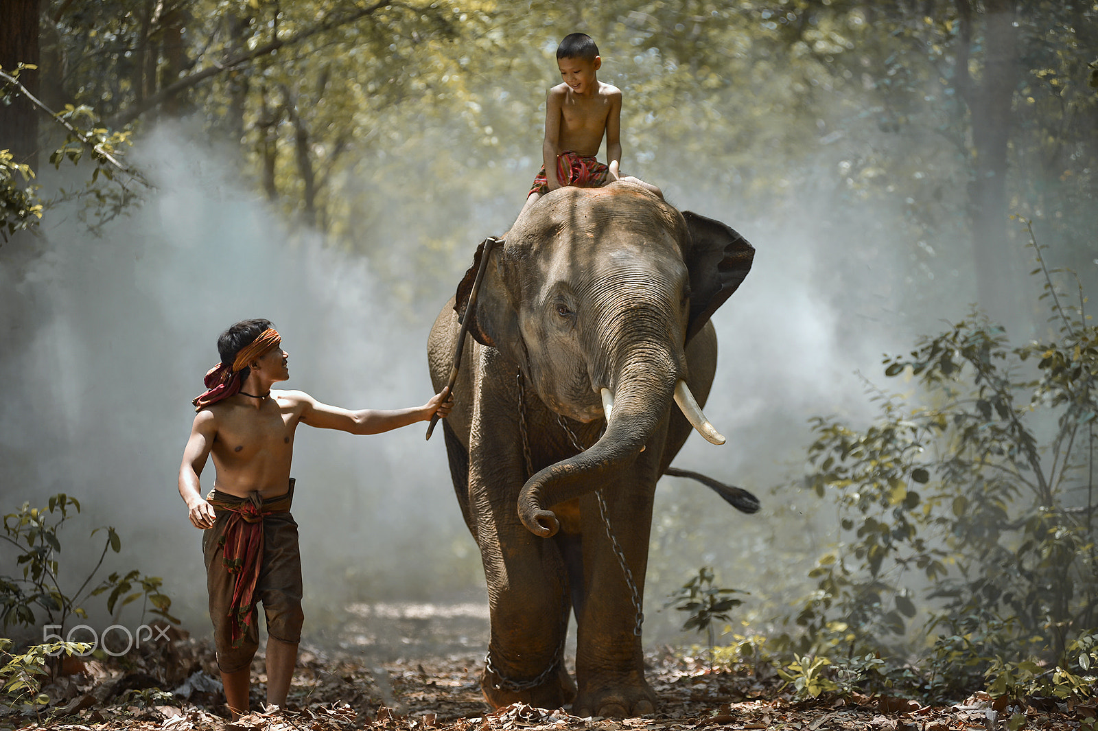 Nikon AF-Nikkor 80-200mm F2.8D ED sample photo. My brother and elephant photography