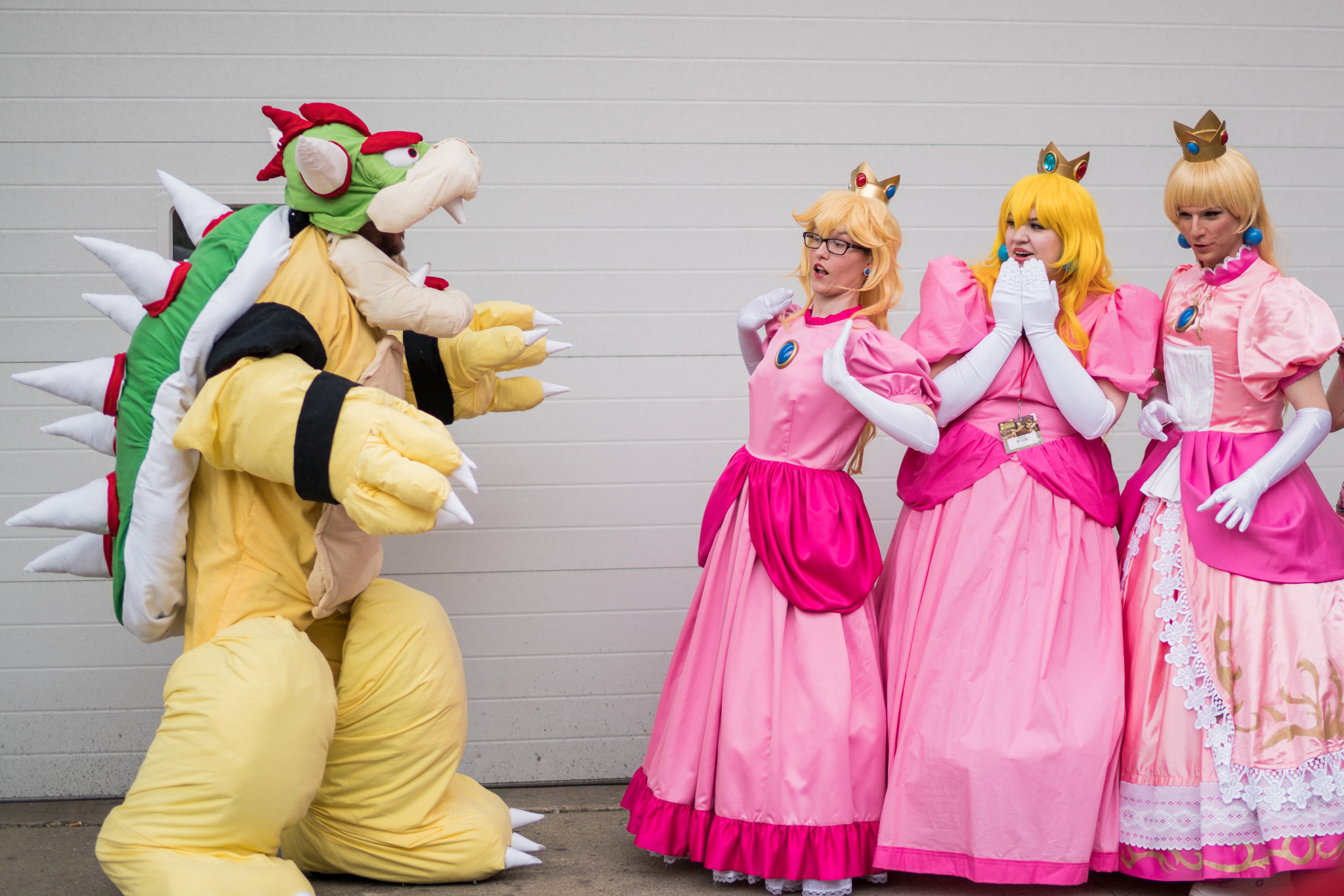 Sony Planar T* 50mm F1.4 ZA SSM sample photo. Bowser vs peaches photography