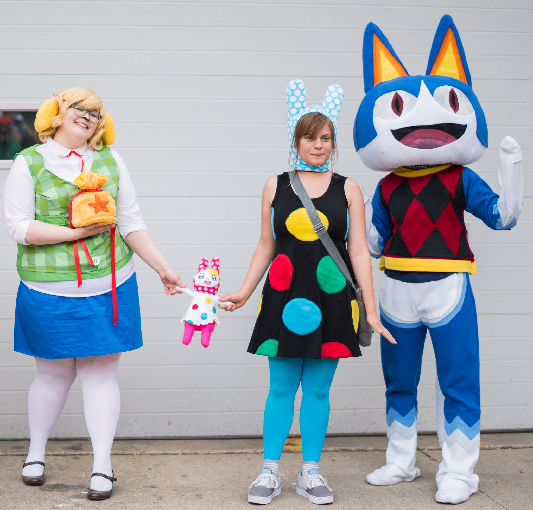 Sony Planar T* 50mm F1.4 ZA SSM sample photo. Animal crossing characters photography