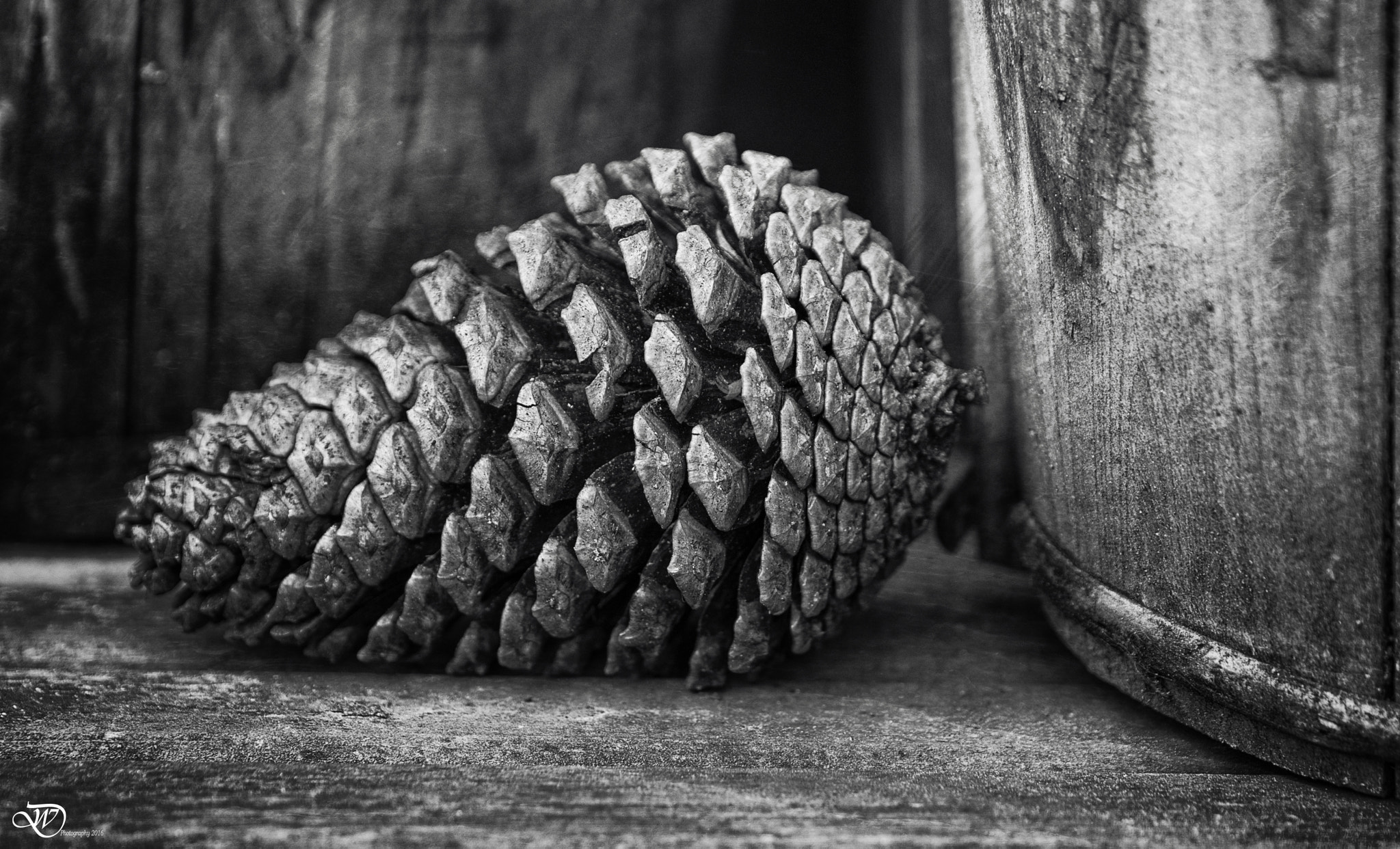 Nikon D3300 + Sigma 24-105mm F4 DG OS HSM Art sample photo. Pinecone photography